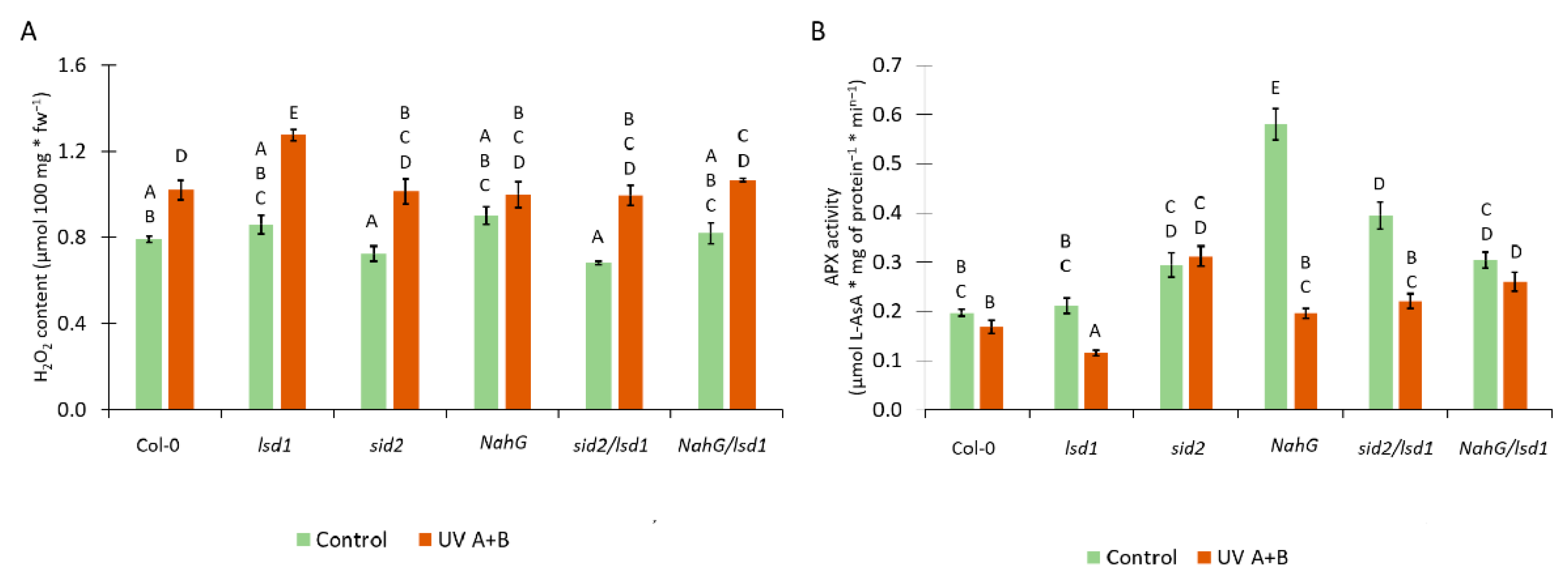 Cells 10 00962 g004 Cells 10 00962 g004