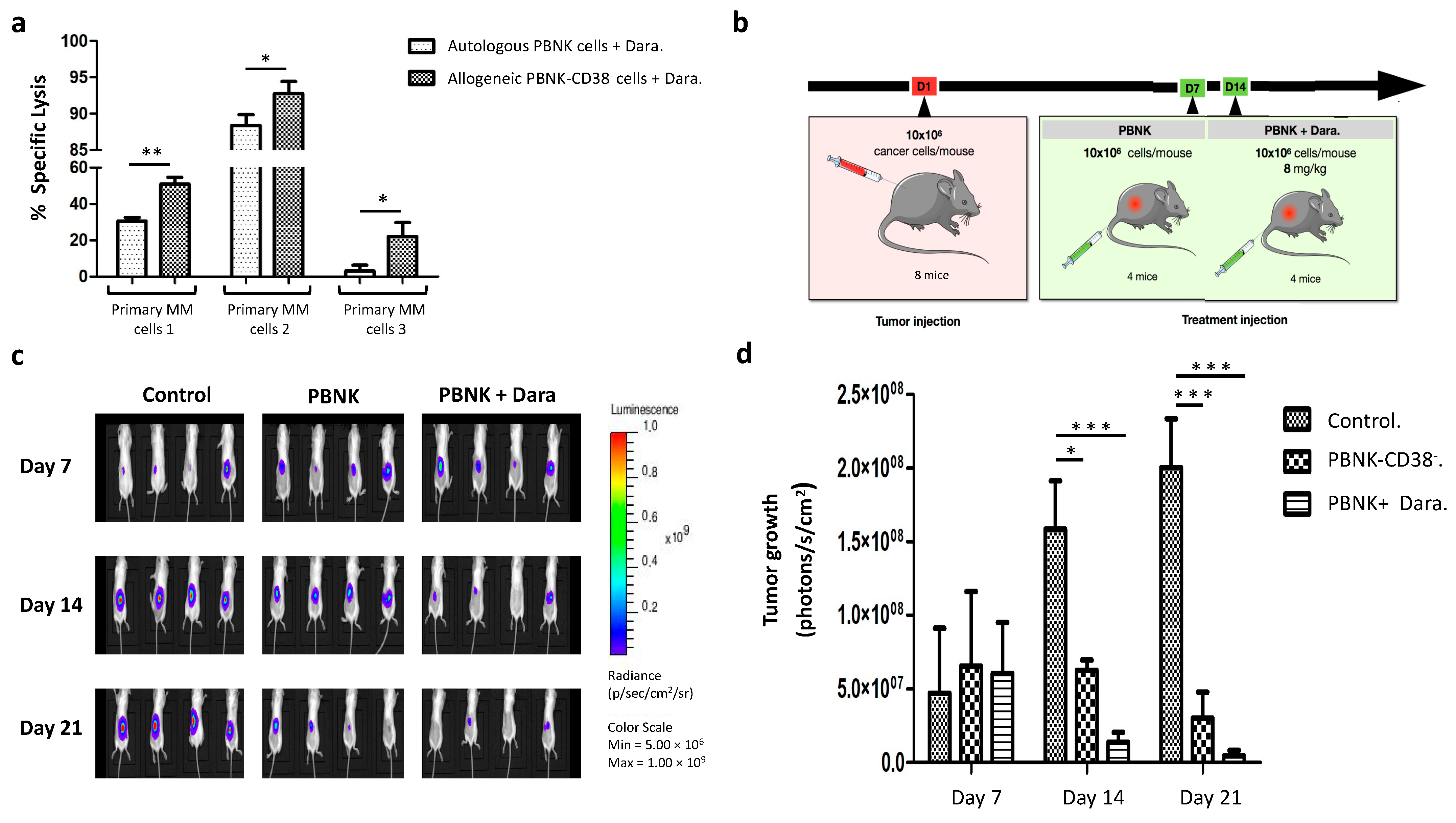 Cells 10 00967 g005 Cells 10 00967 g005