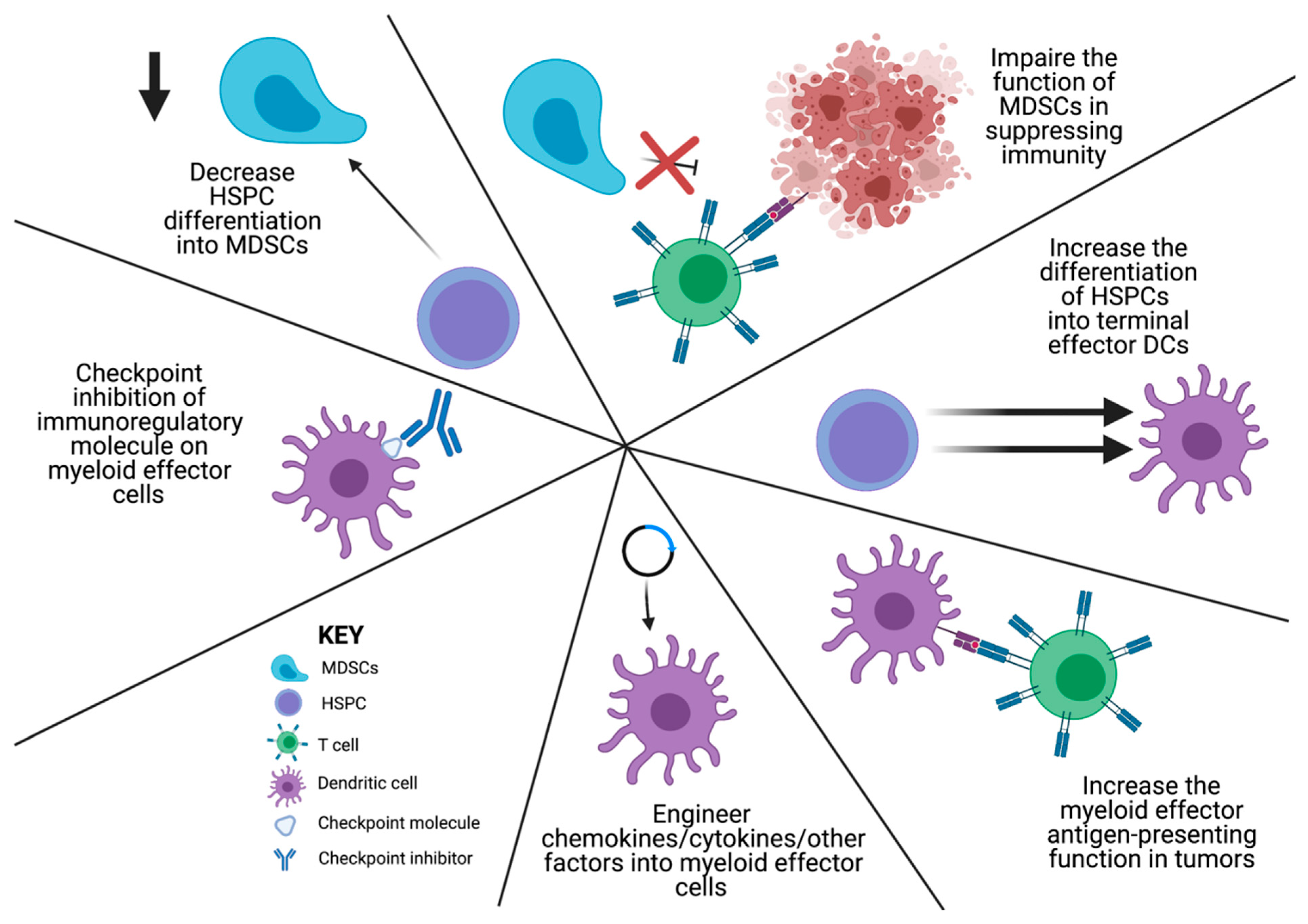 Cells 10 00968 g003 Cells 10 00968 g003