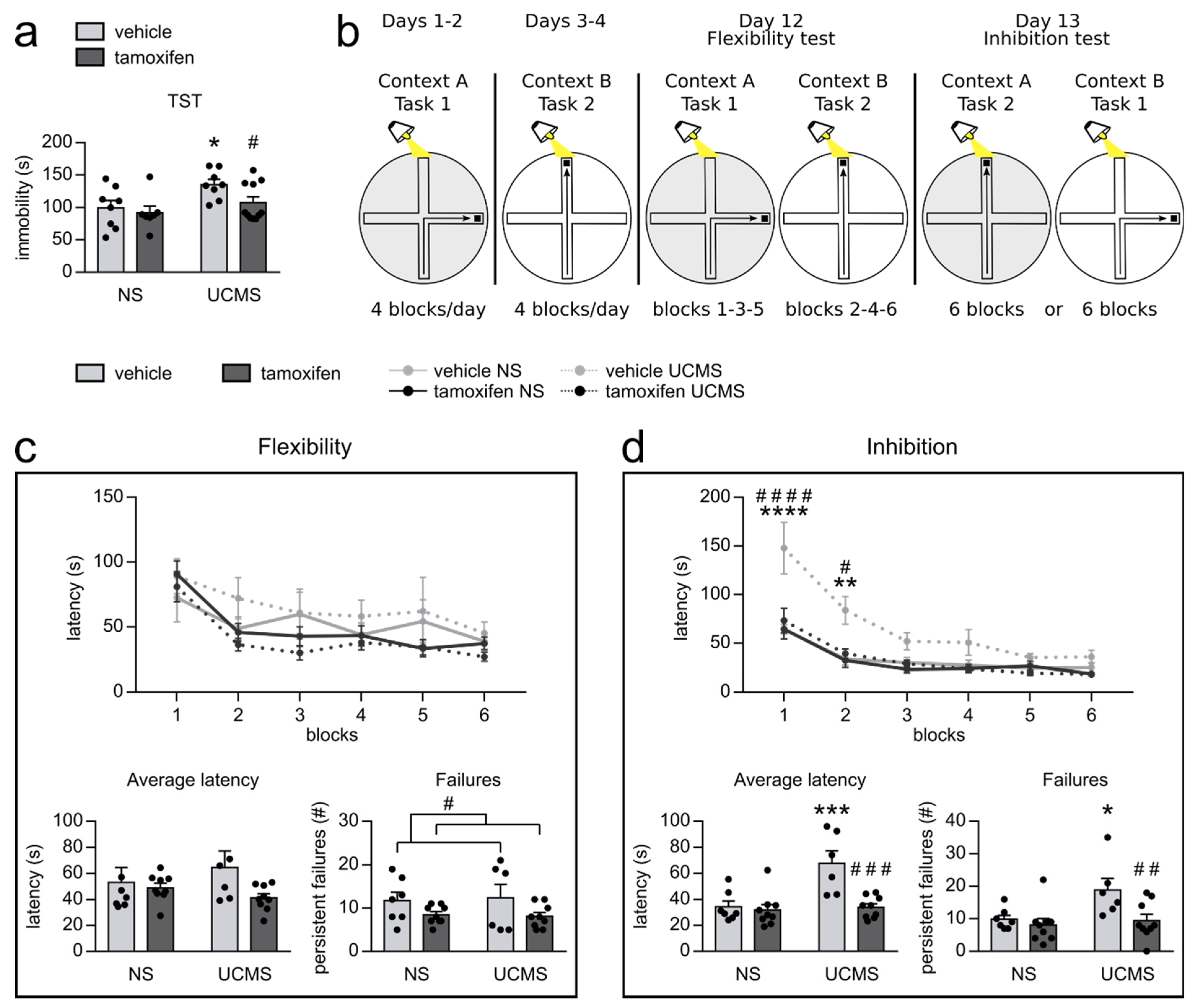 Cells 10 00972 g003 Cells 10 00972 g003