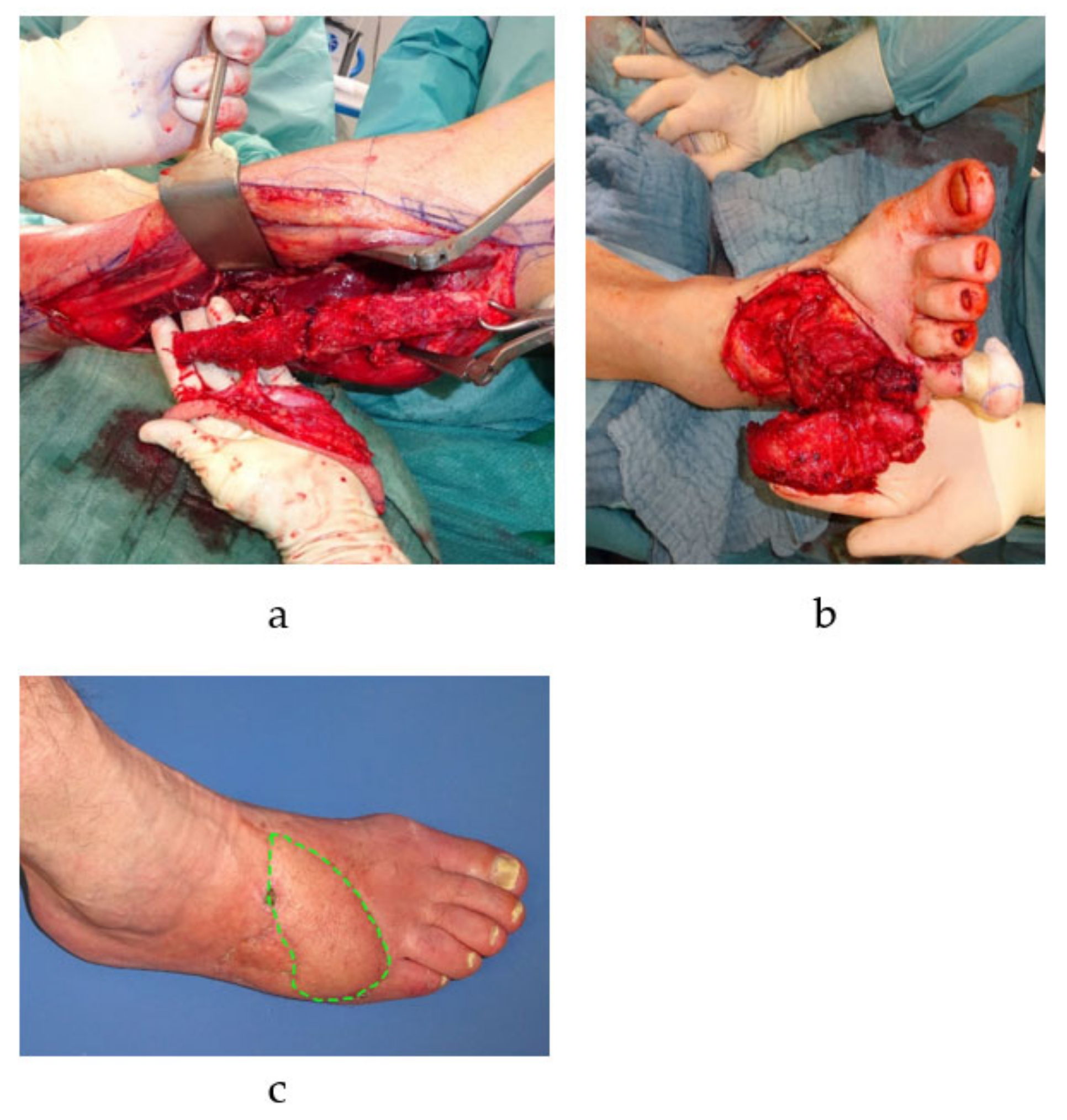Cells 10 00975 g002 Cells 10 00975 g002