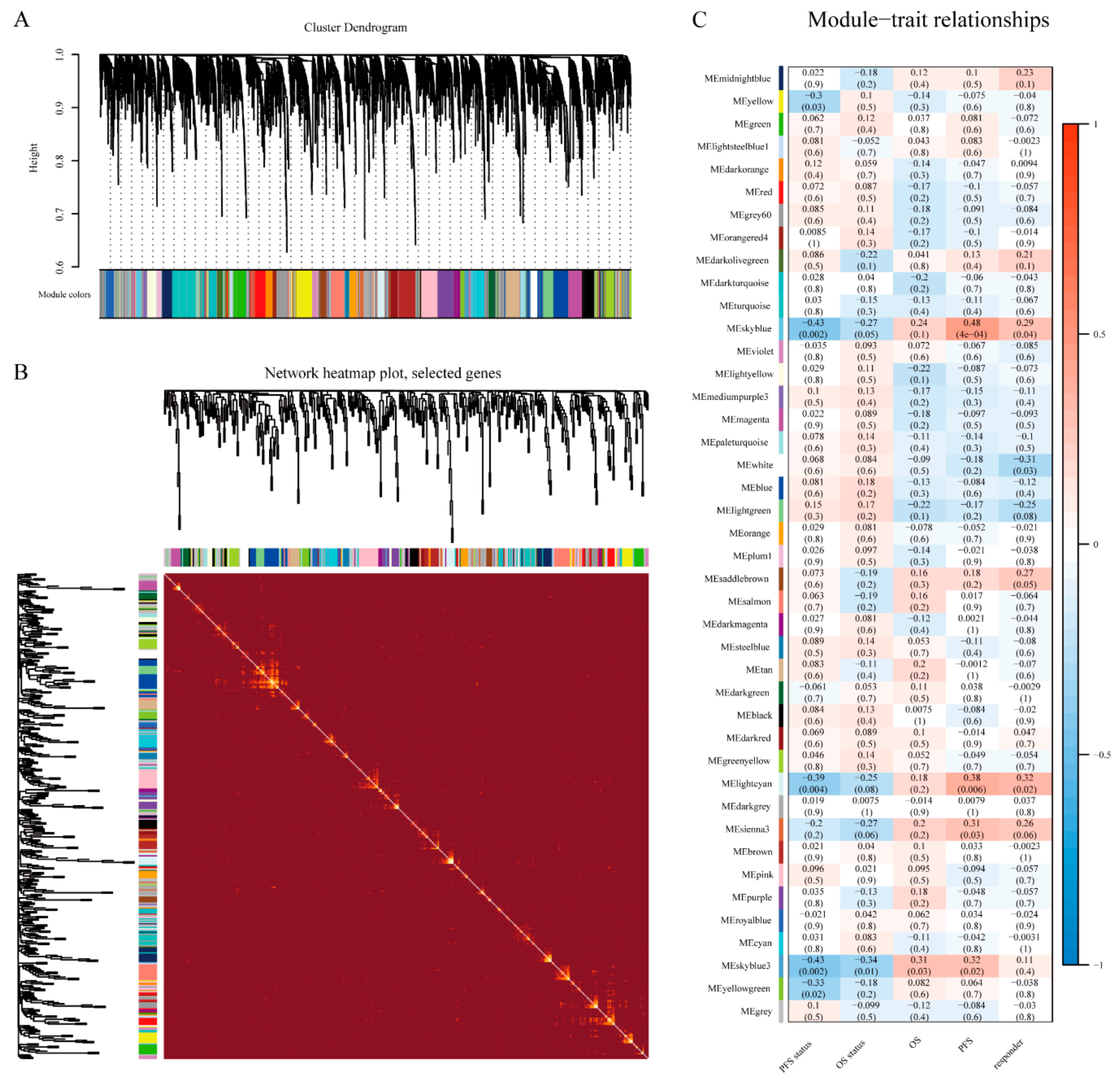 Cells 10 00977 g003 Cells 10 00977 g003