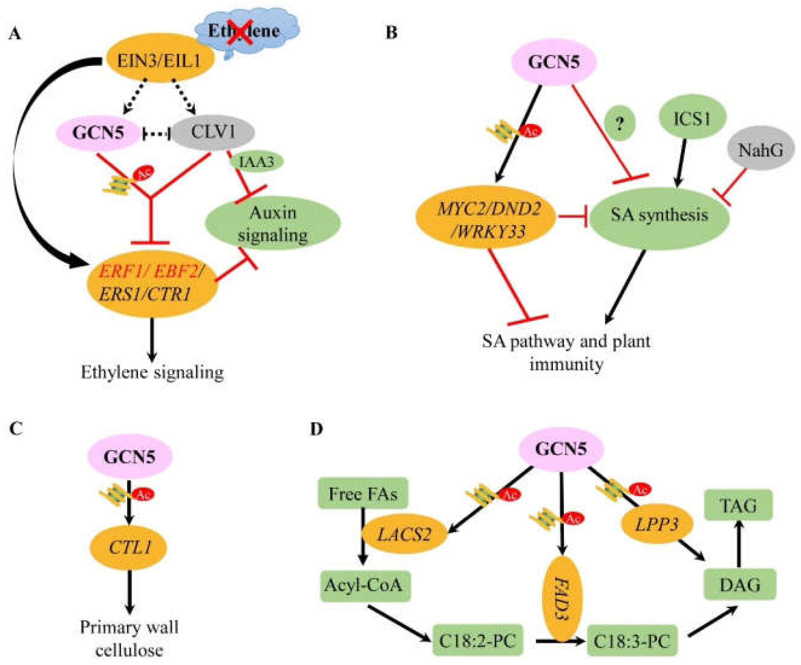 Cells 10 00979 g002 Cells 10 00979 g002