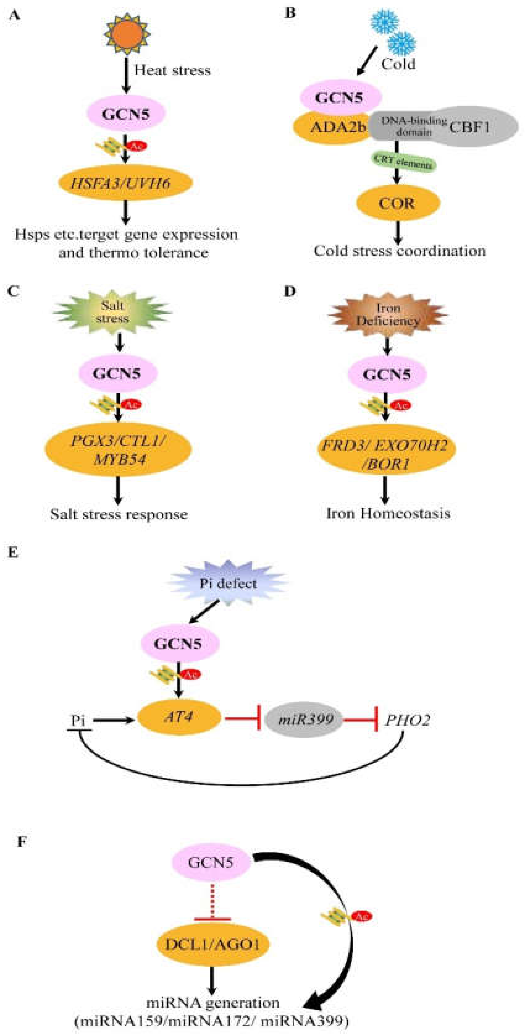 Cells 10 00979 g003 Cells 10 00979 g003