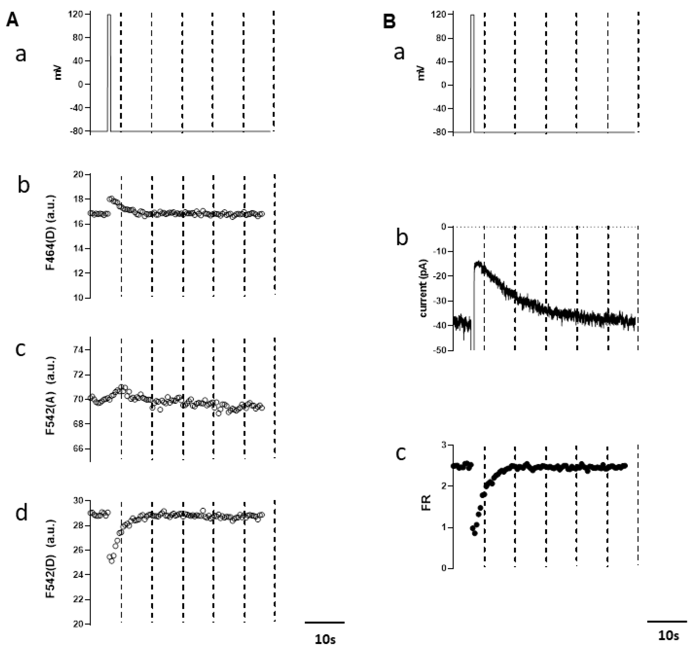 Cells 10 00983 g002 Cells 10 00983 g002