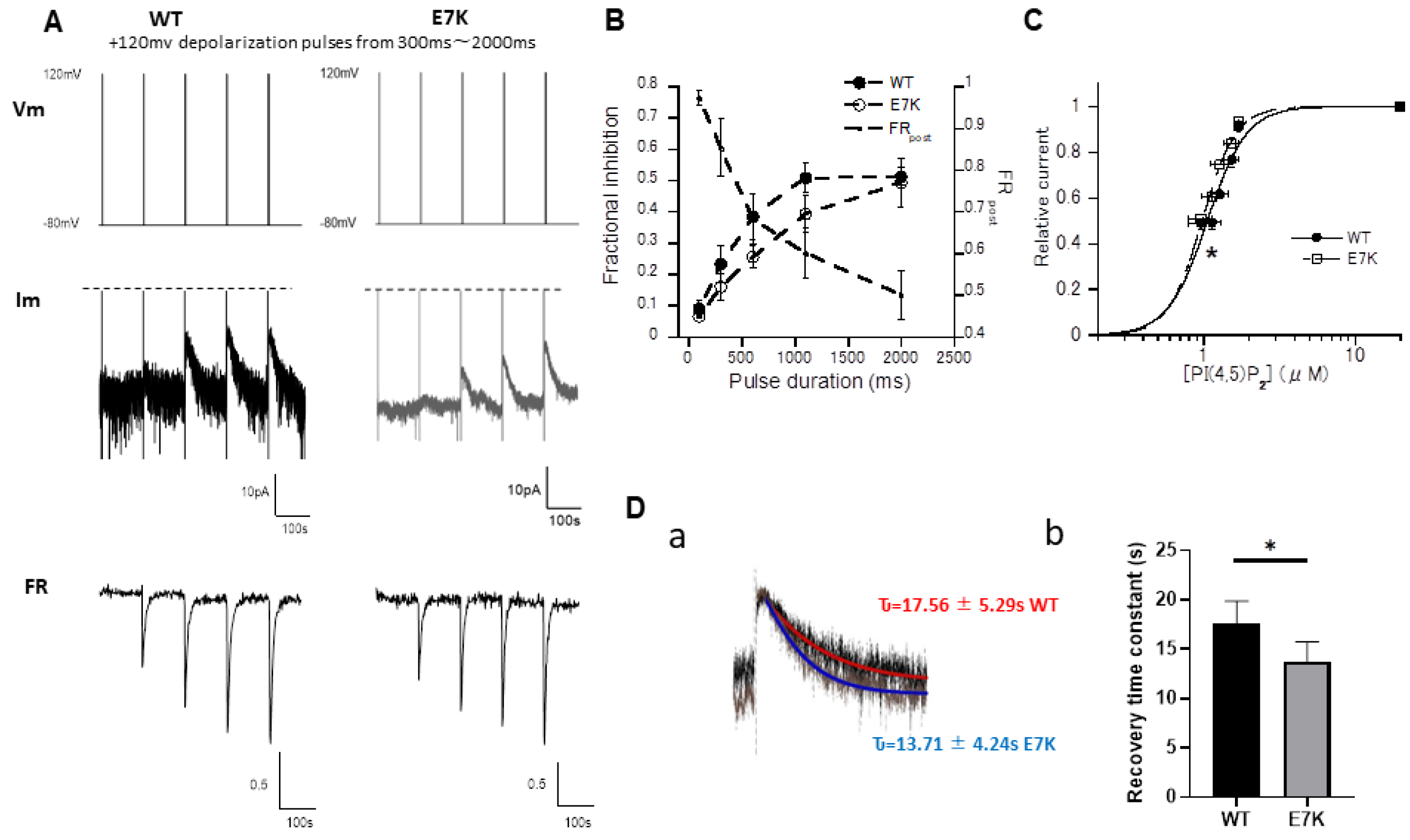 Cells 10 00983 g003 Cells 10 00983 g003
