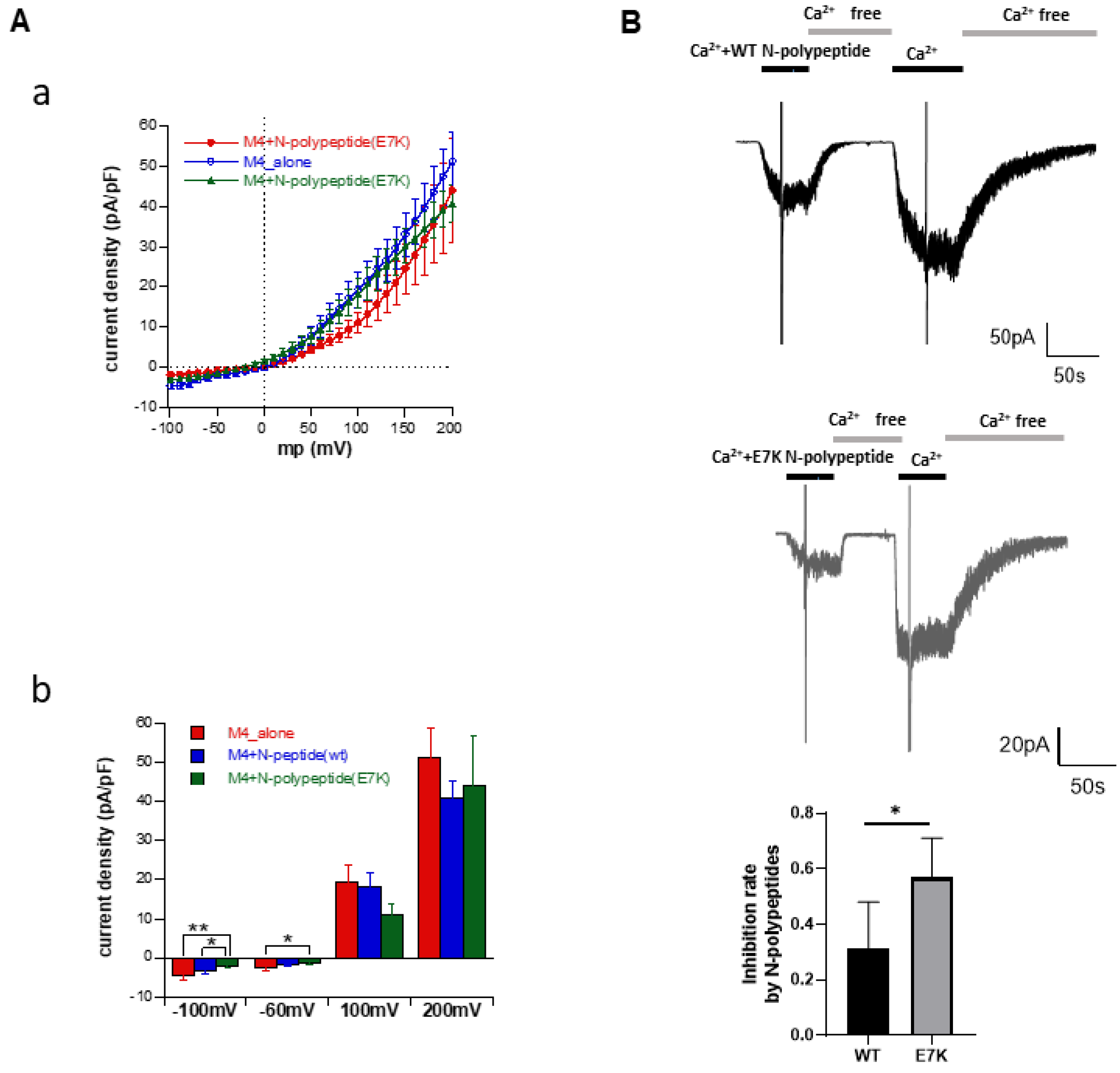 Cells 10 00983 g005 Cells 10 00983 g005