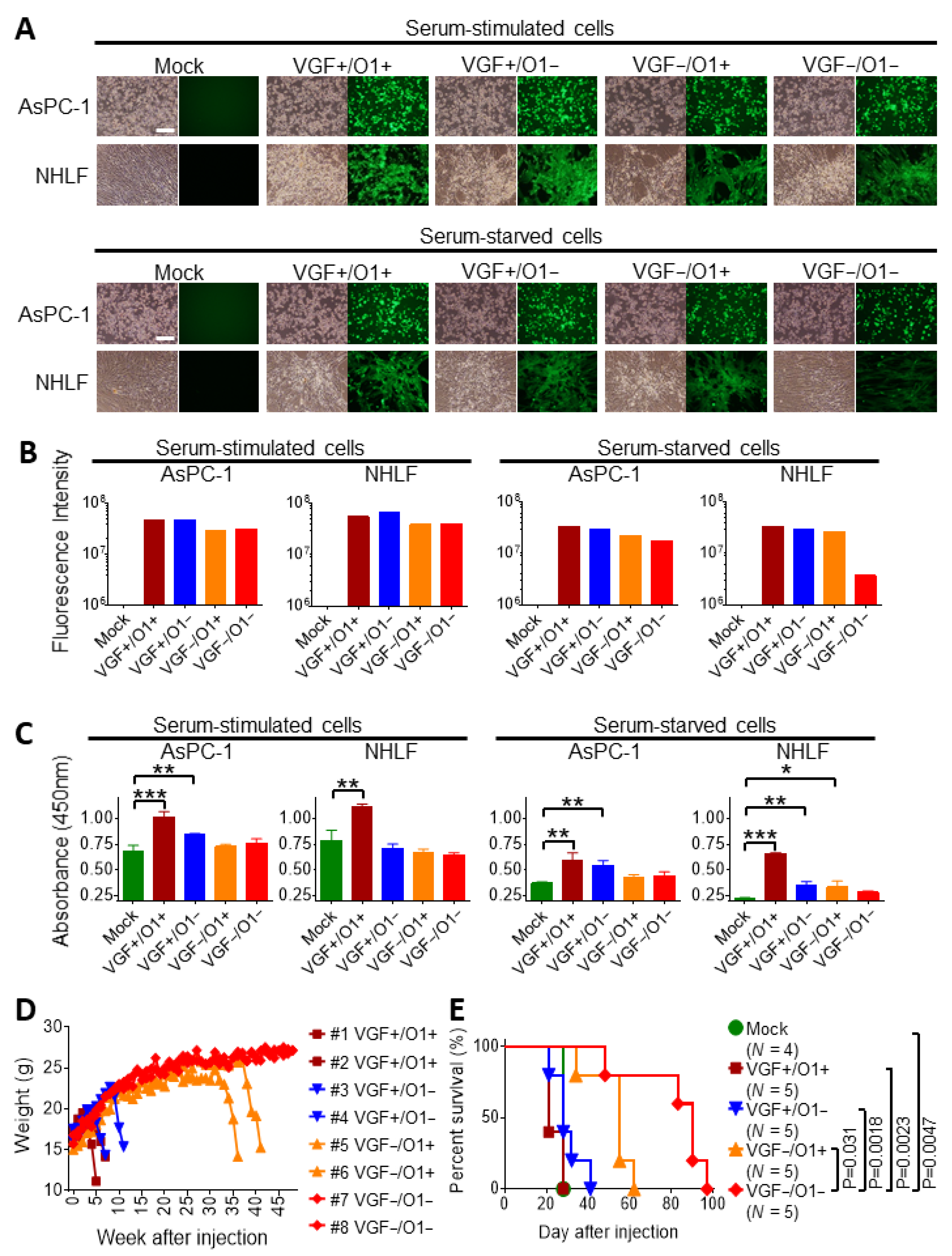 Cells 10 00985 g002 Cells 10 00985 g002