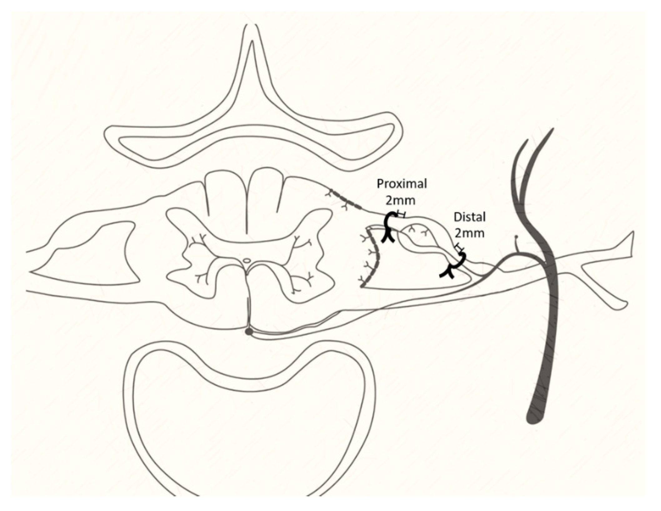 Cells 10 00992 g001 Cells 10 00992 g001