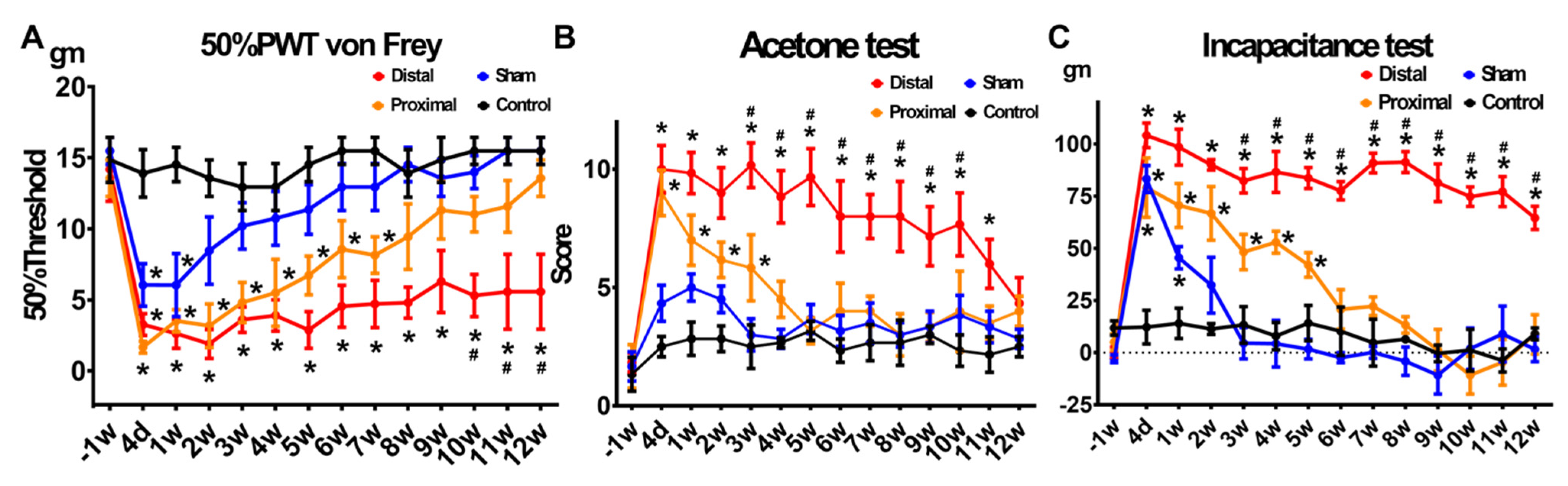 Cells 10 00992 g002 Cells 10 00992 g002