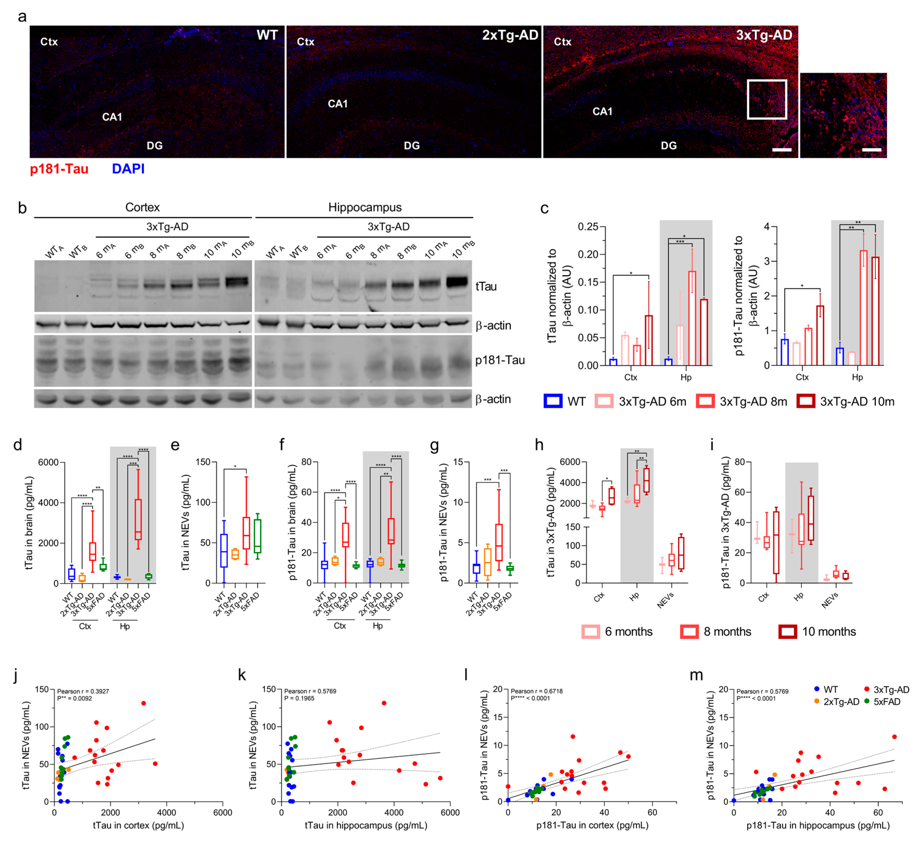 Cells 10 00993 g002 Cells 10 00993 g002