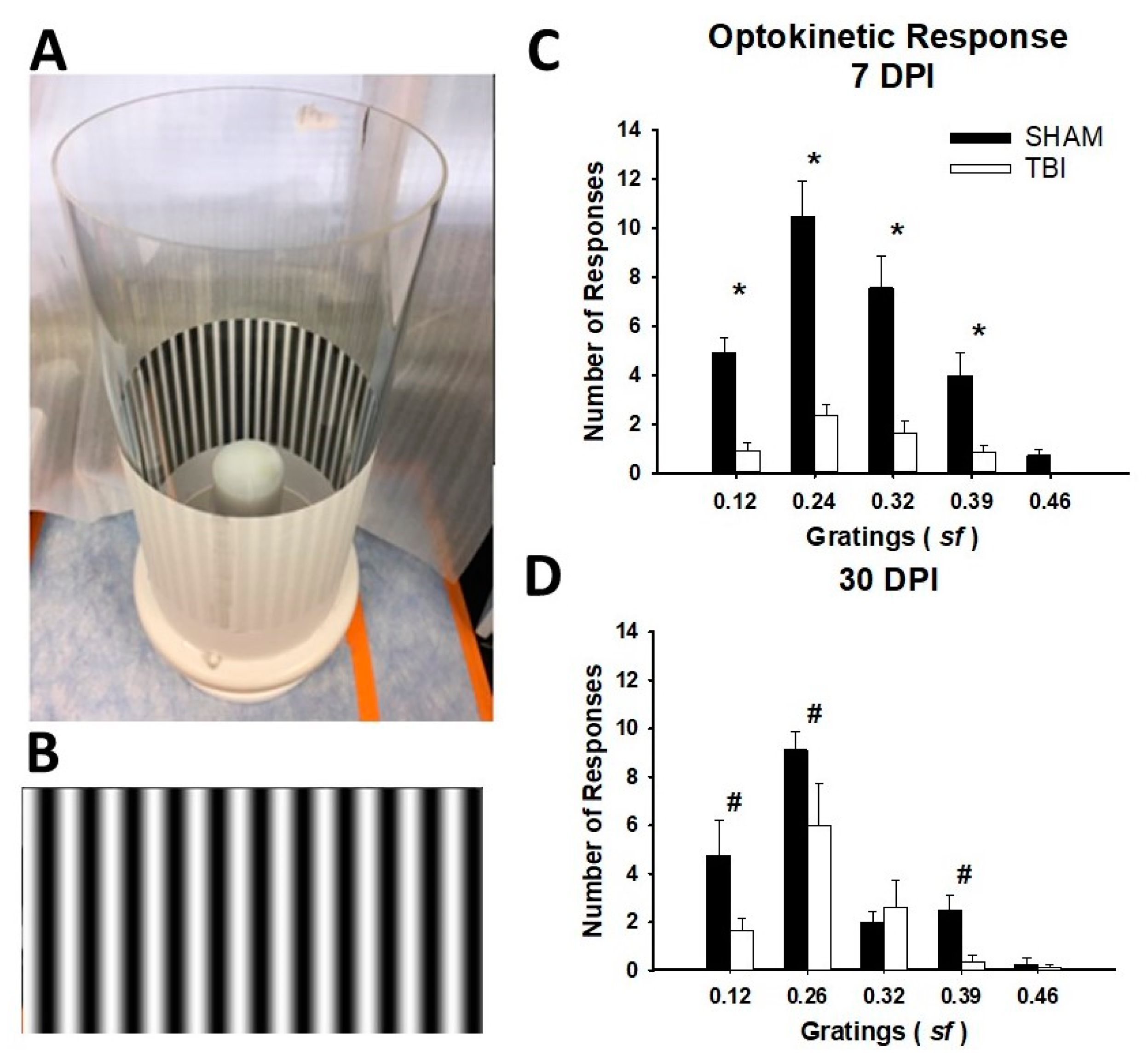 Cells 10 00996 g003 Cells 10 00996 g003