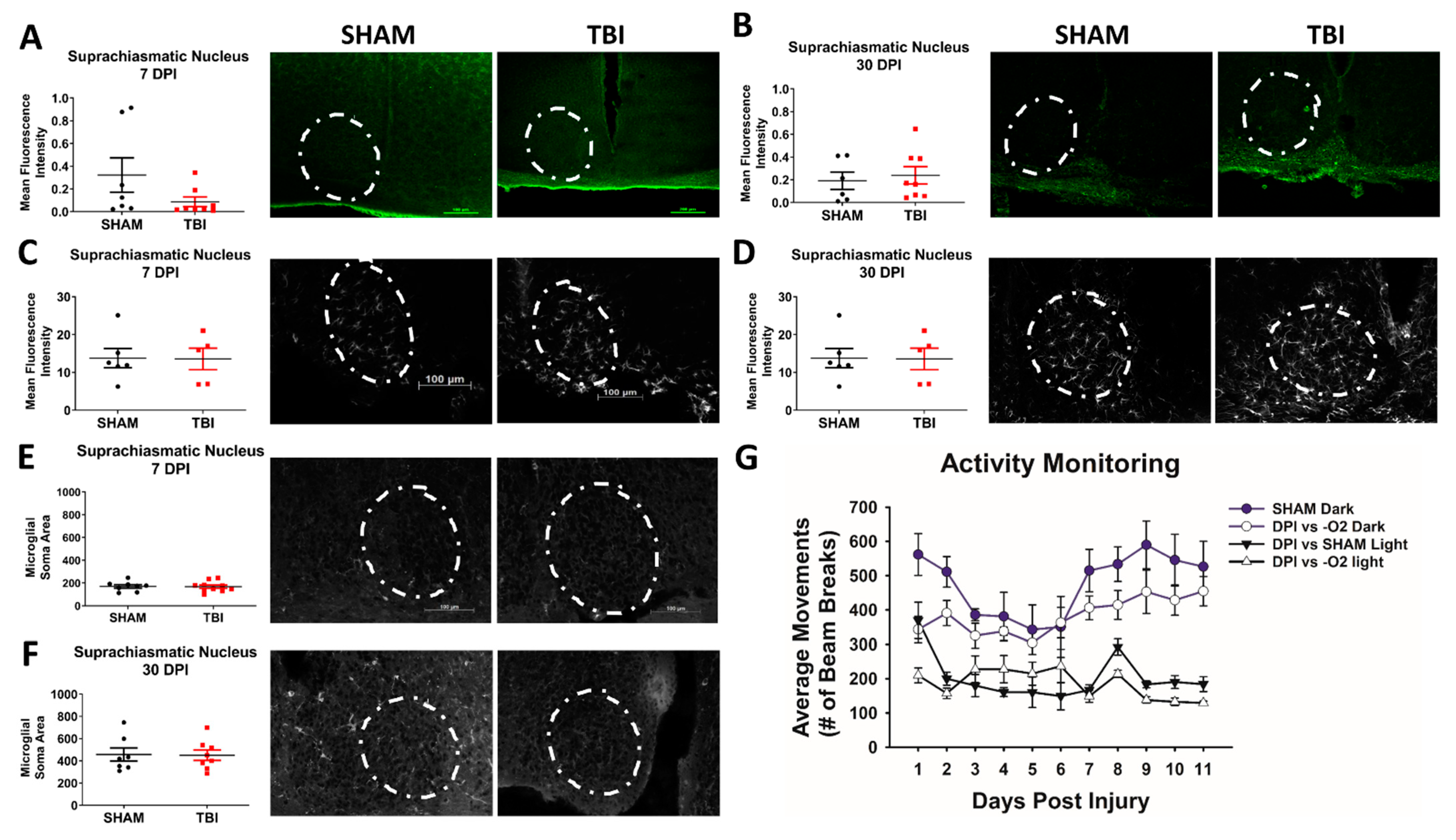 Cells 10 00996 g004 Cells 10 00996 g004