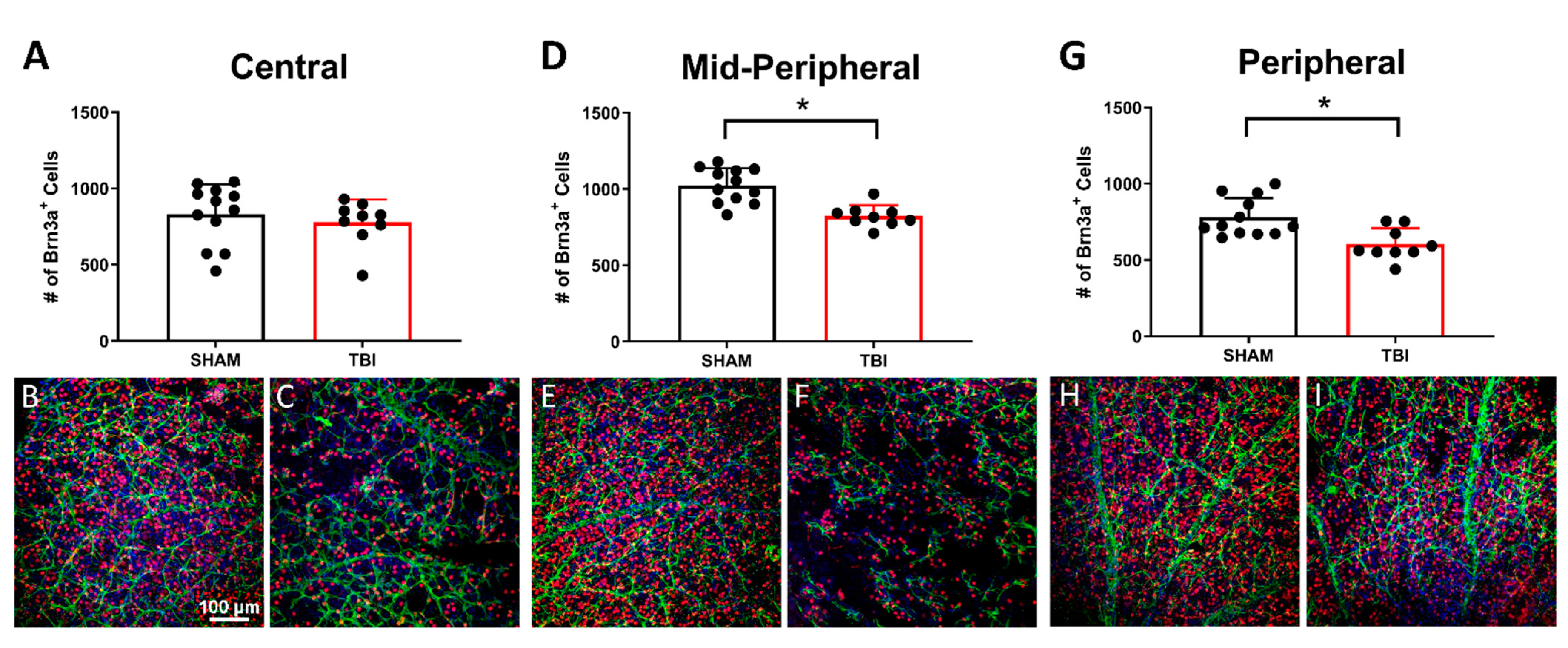 Cells 10 00996 g006 Cells 10 00996 g006