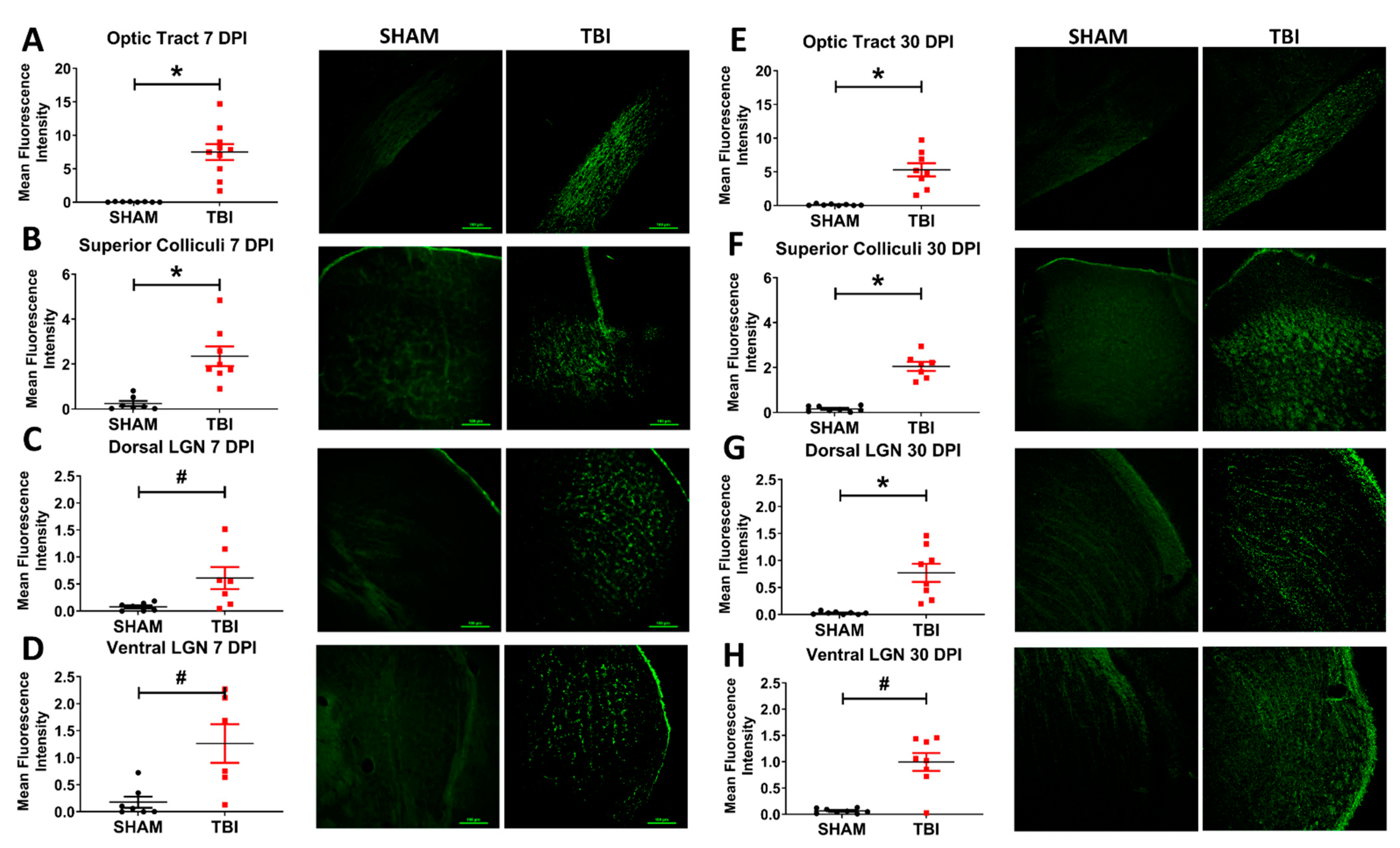 Cells 10 00996 g007 Cells 10 00996 g007