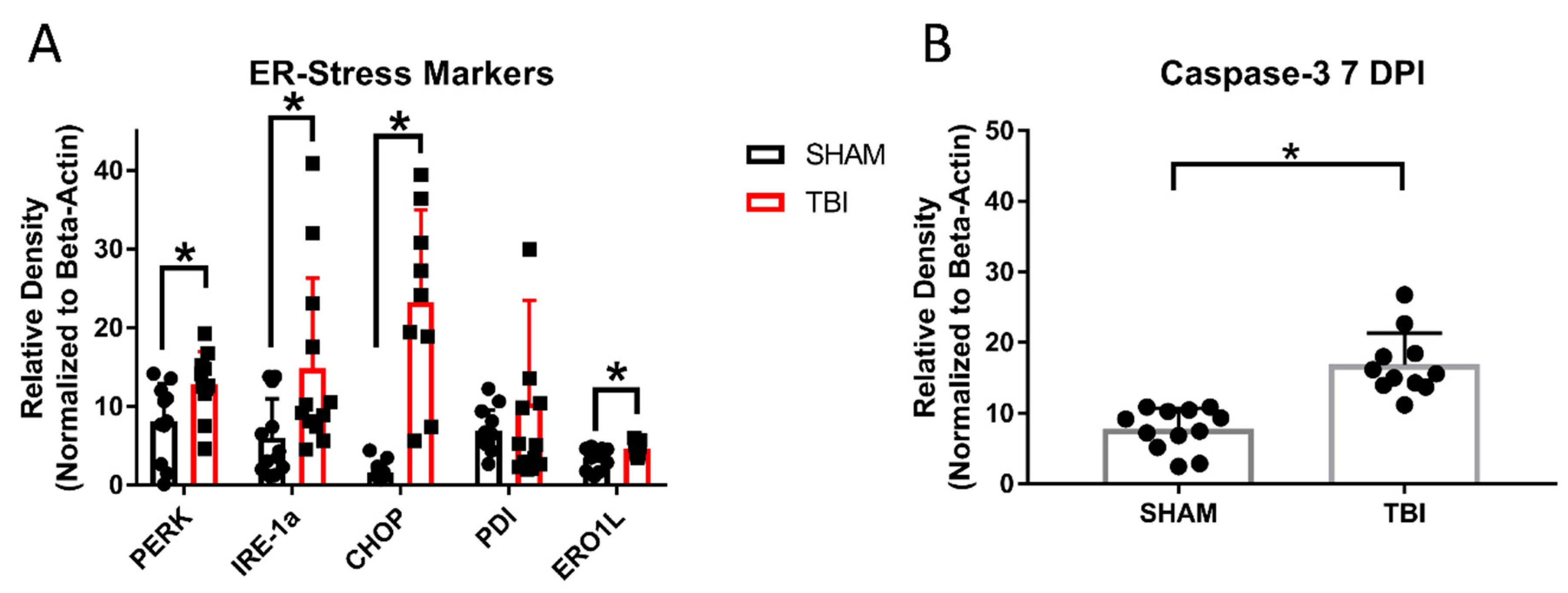 Cells 10 00996 g010 Cells 10 00996 g010
