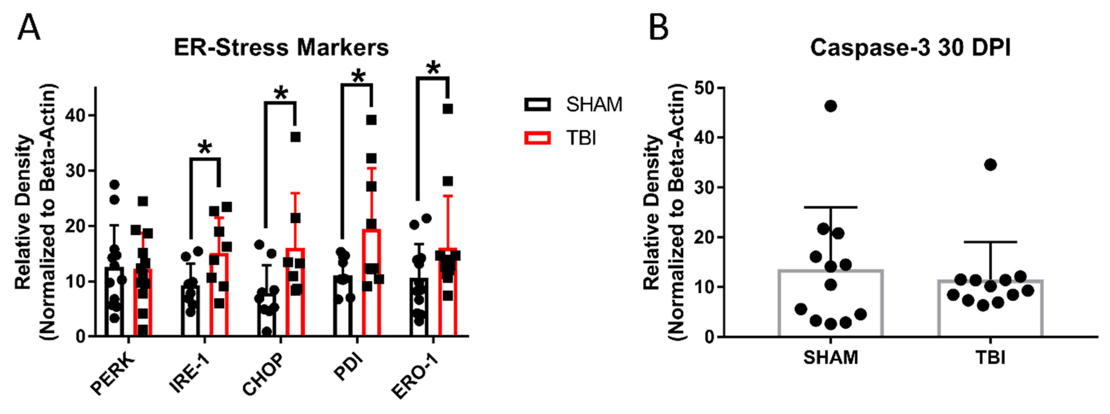 Cells 10 00996 g011 Cells 10 00996 g011