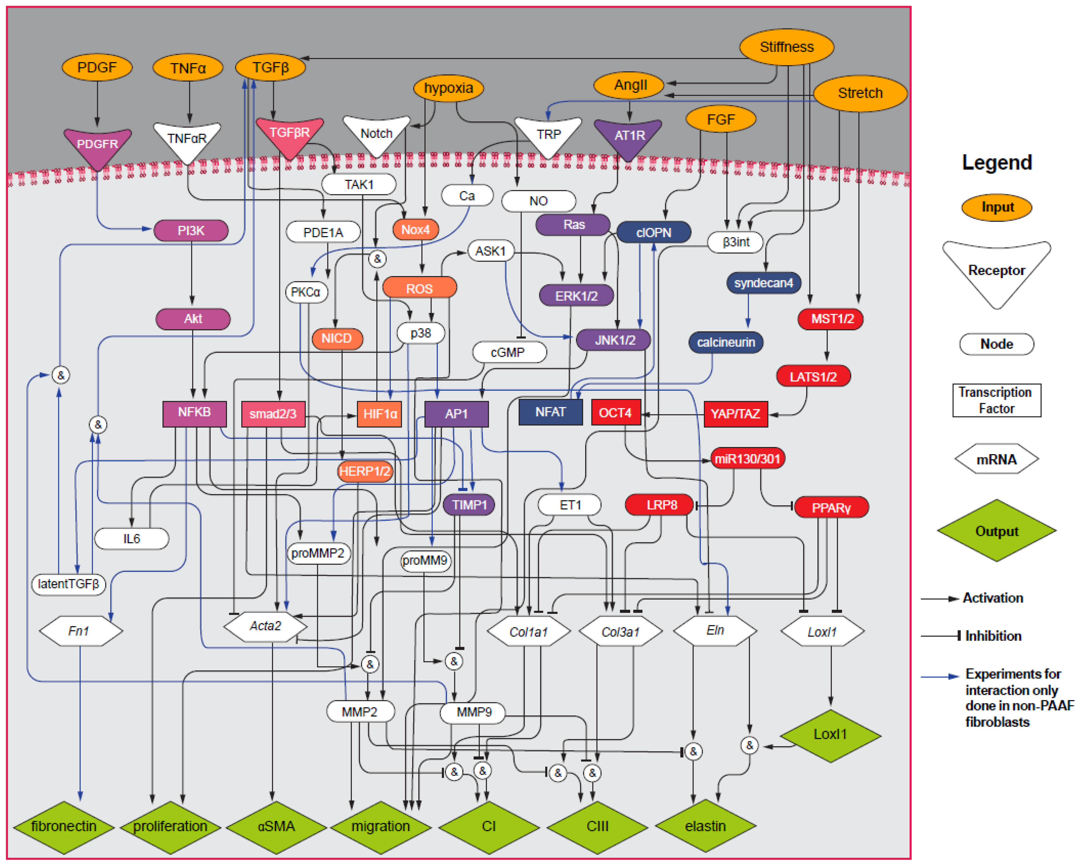 Cells 10 01000 g001 Cells 10 01000 g001