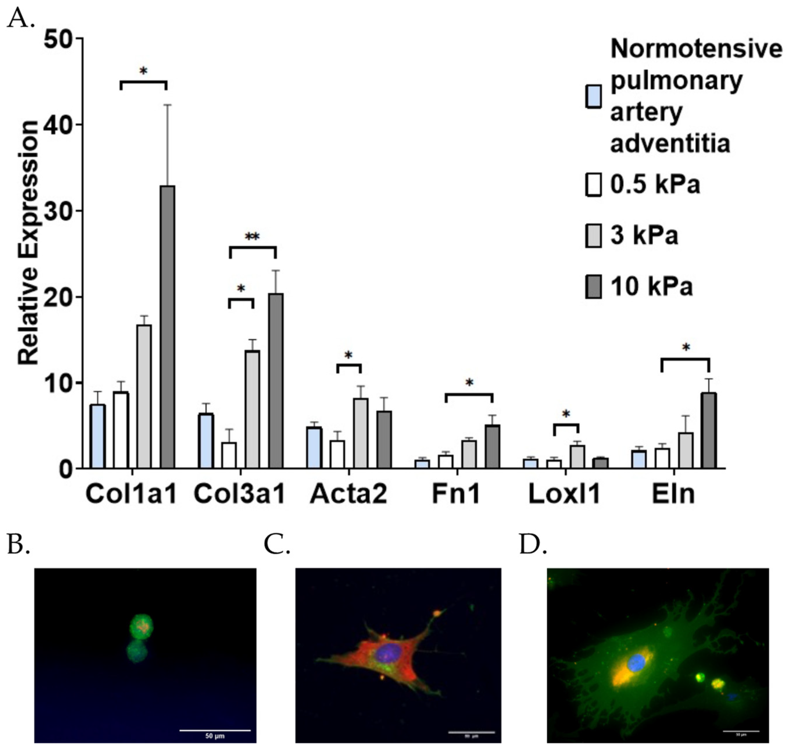 Cells 10 01000 g003 Cells 10 01000 g003