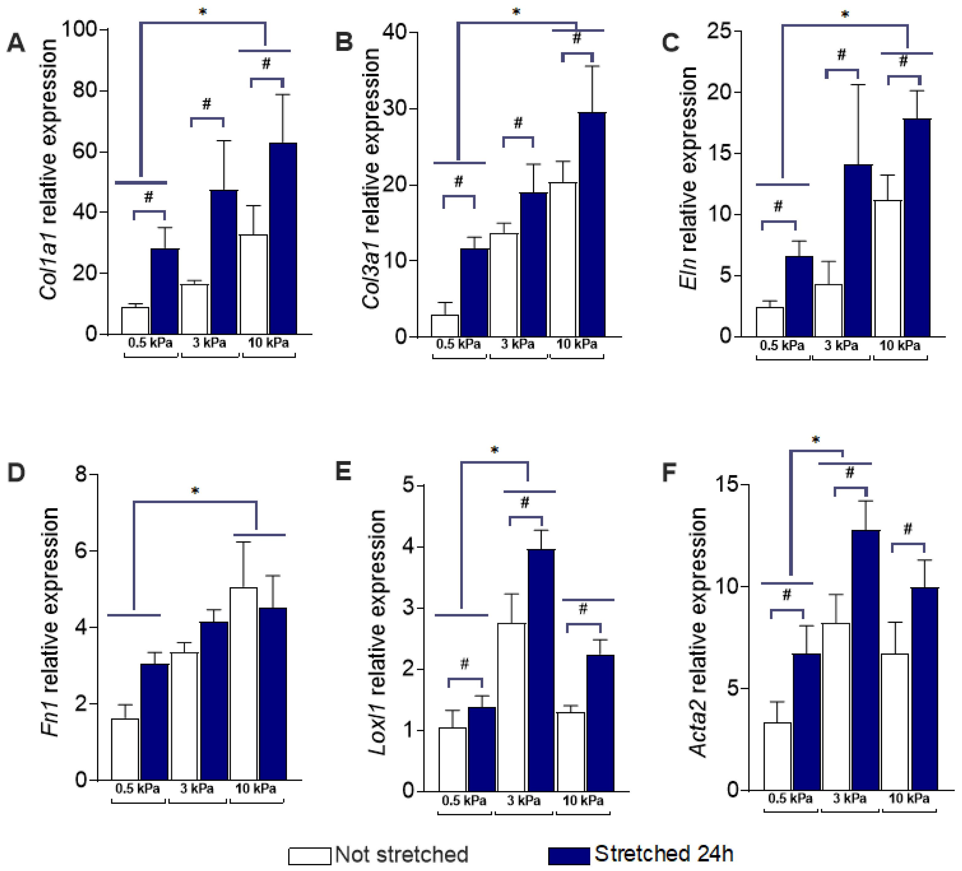 Cells 10 01000 g004 Cells 10 01000 g004