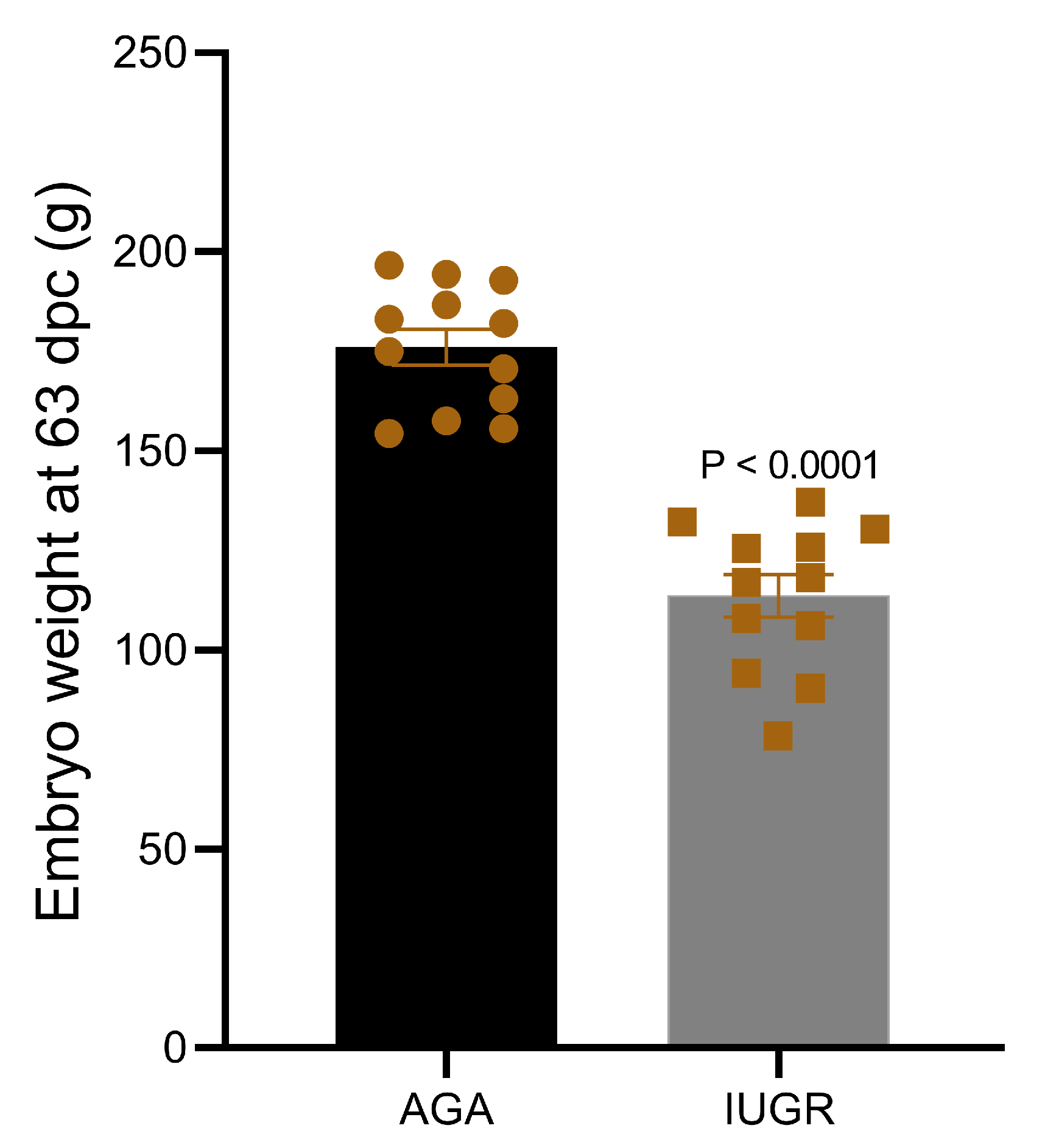 Cells 10 01007 g001 Cells 10 01007 g001