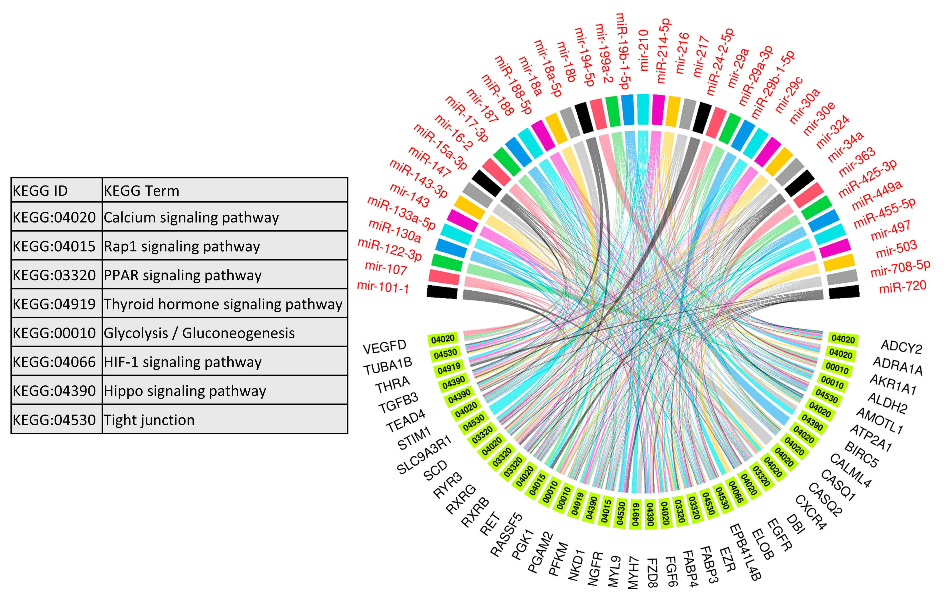 Cells 10 01007 g006 Cells 10 01007 g006