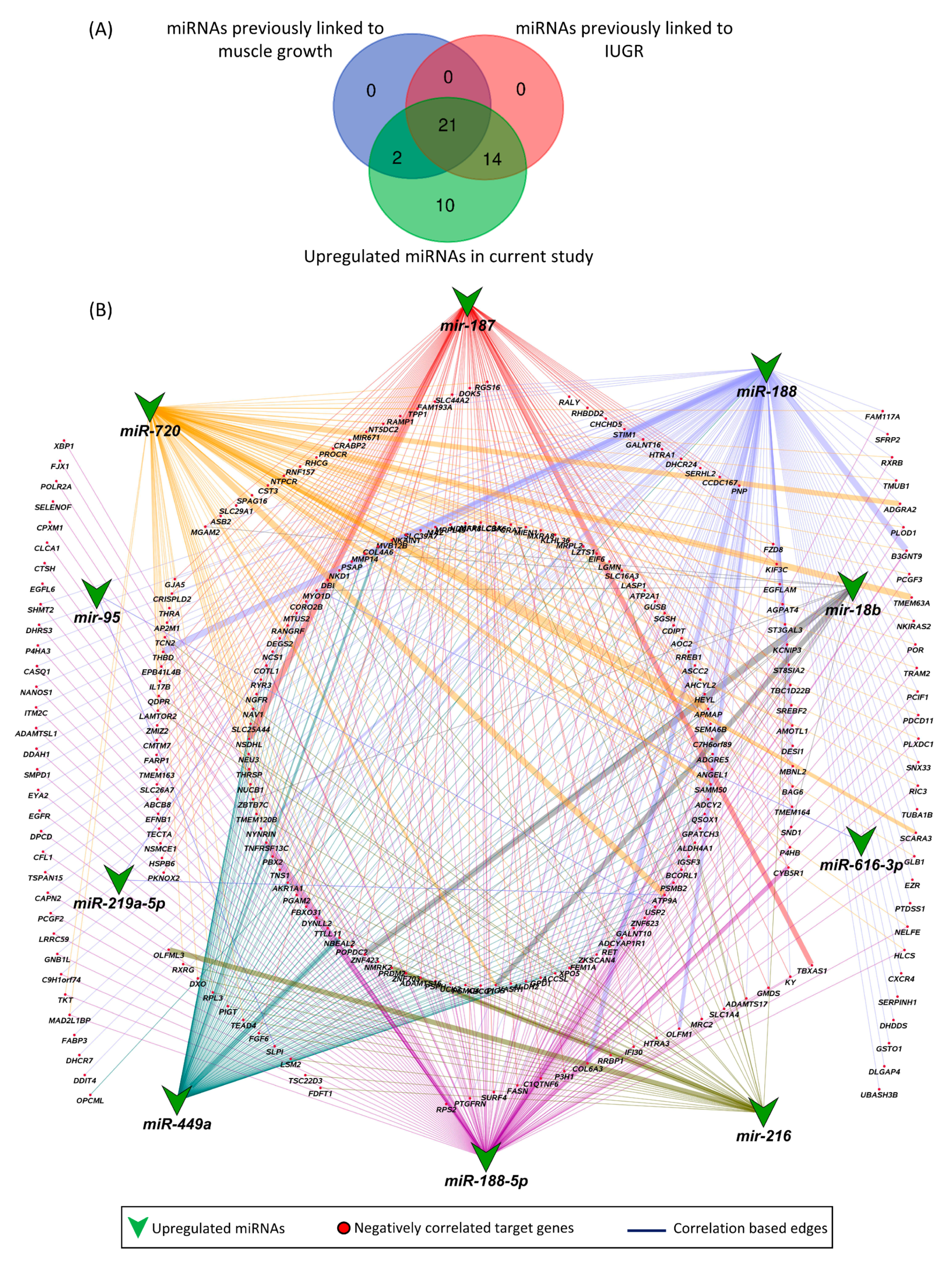 Cells 10 01007 g008 Cells 10 01007 g008