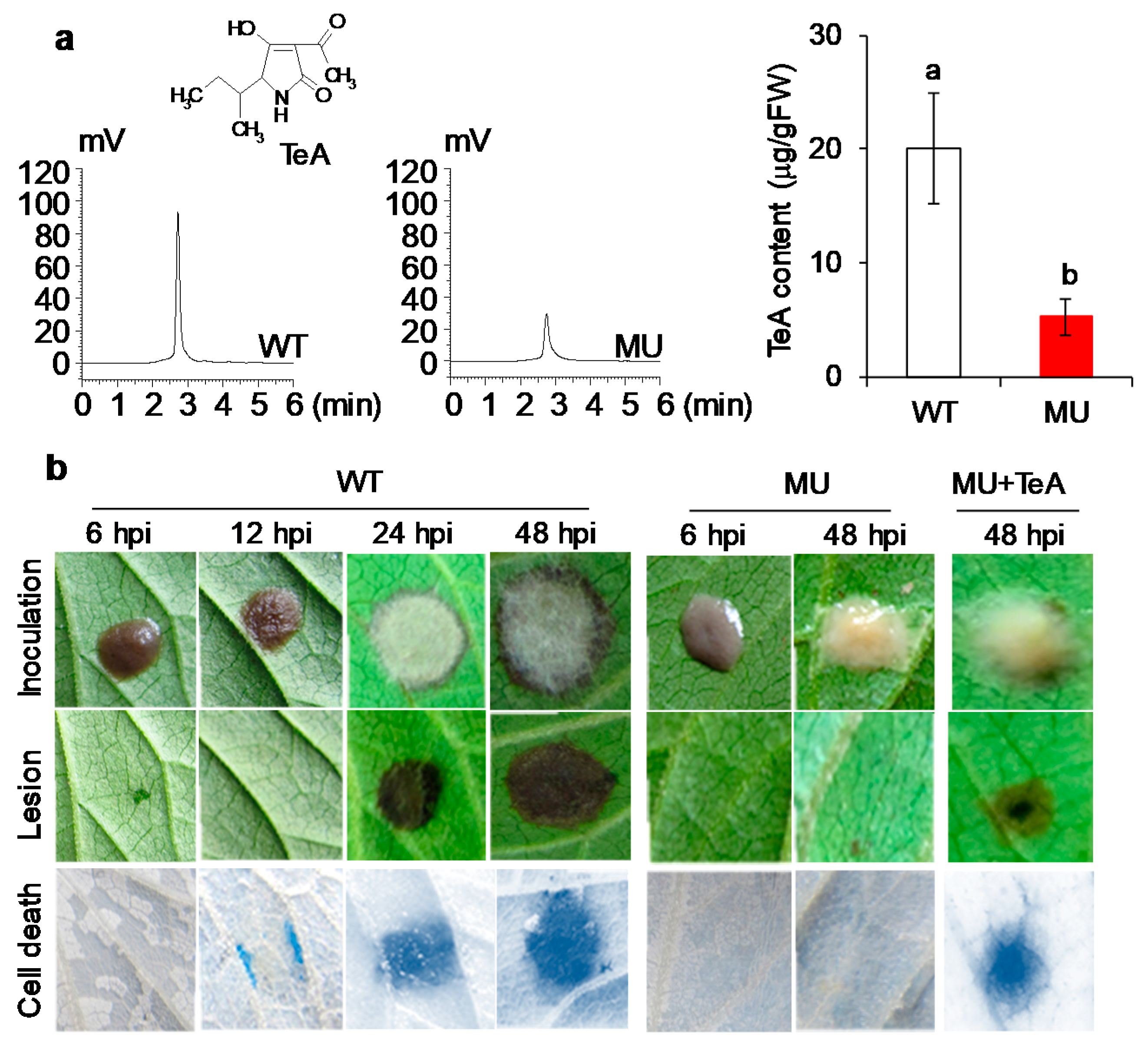 Cells 10 01010 g001 Cells 10 01010 g001