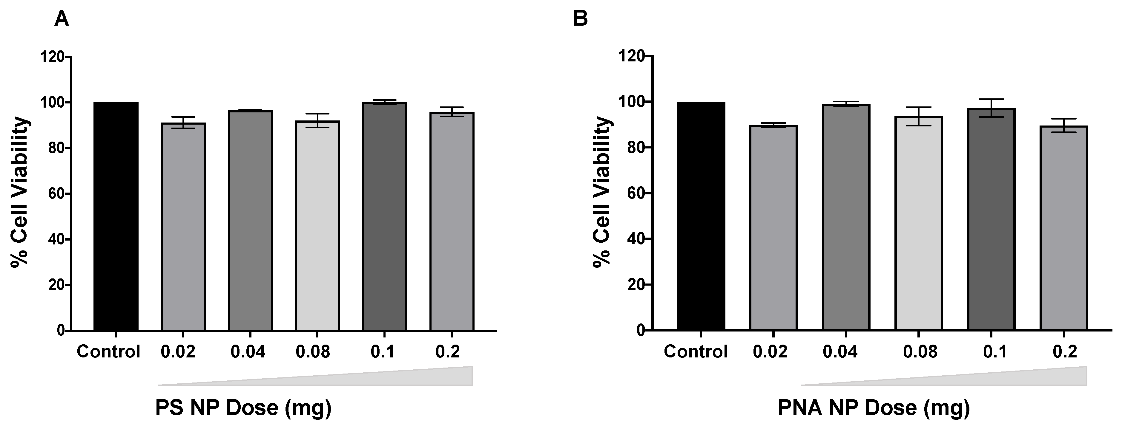 Cells 10 01011 g006 Cells 10 01011 g006