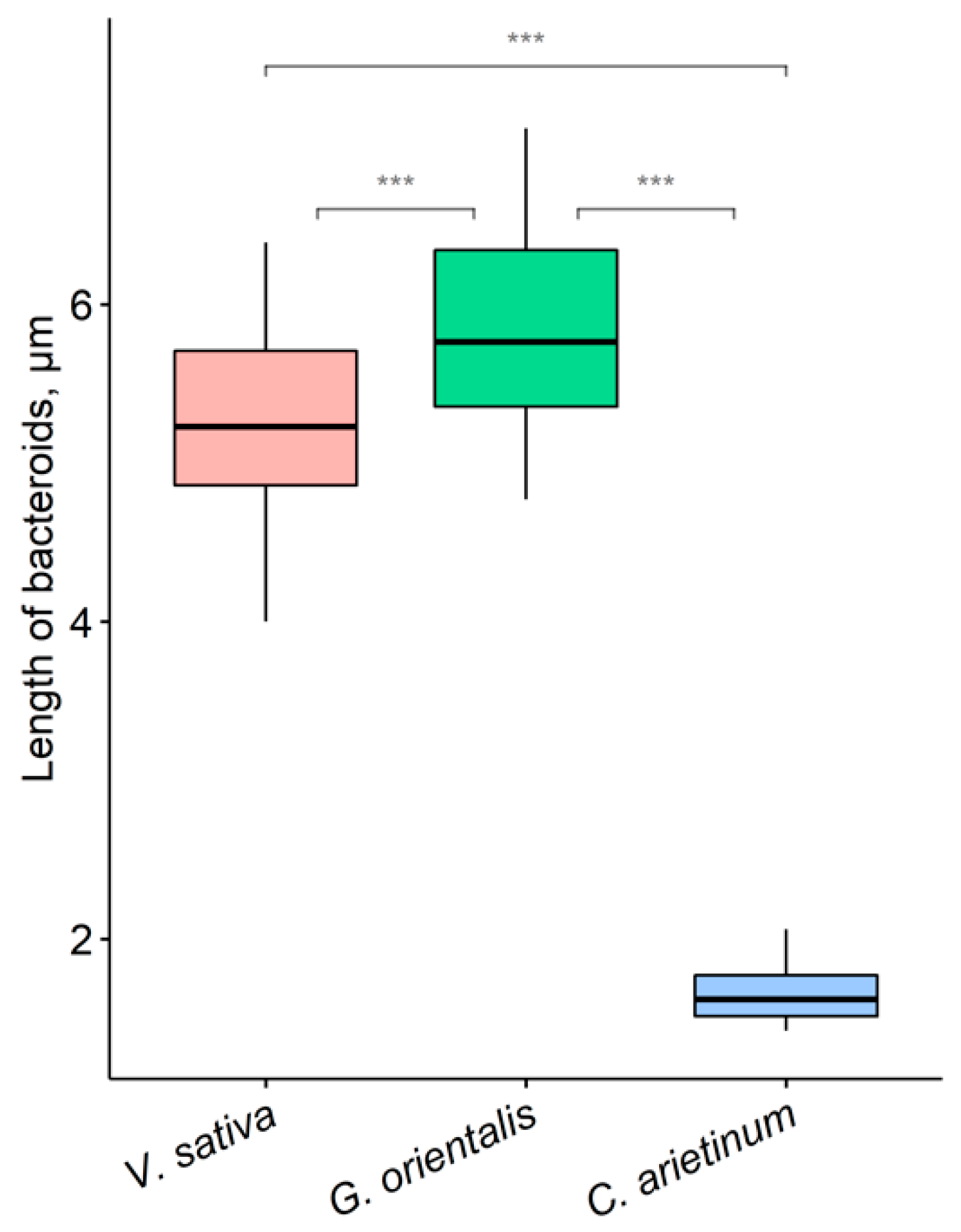Cells 10 01012 g002 Cells 10 01012 g002