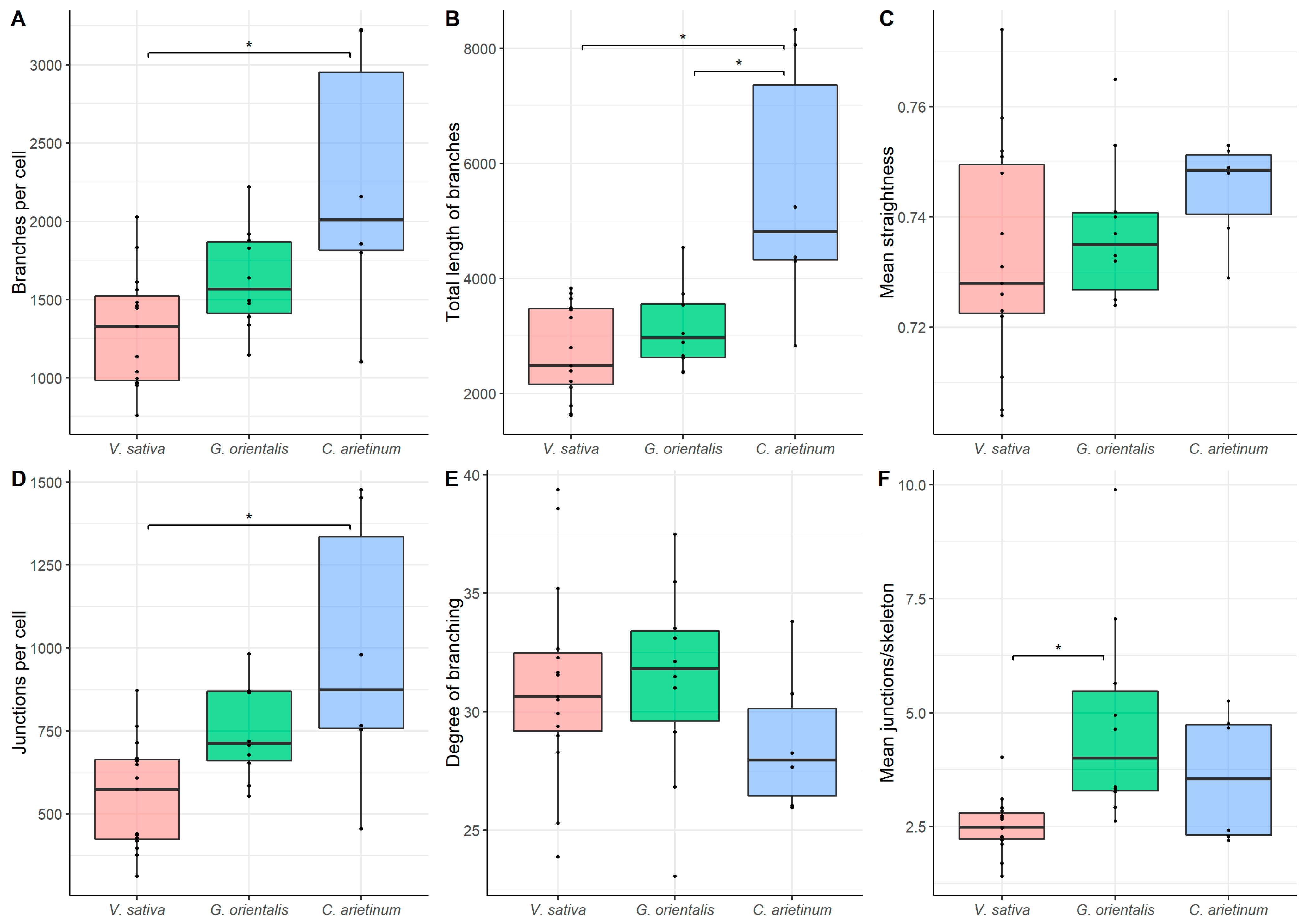 Cells 10 01012 g008 Cells 10 01012 g008