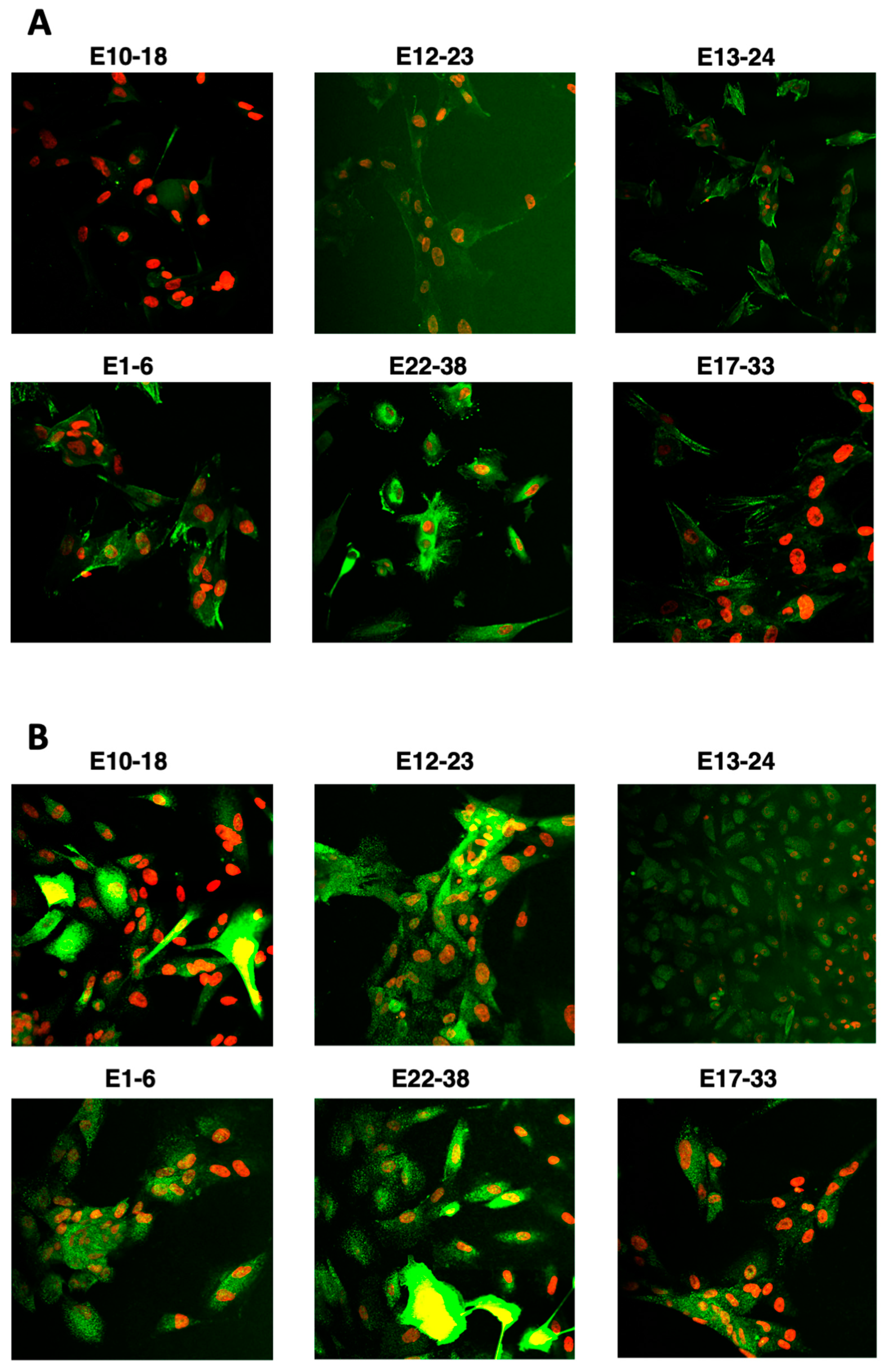 Cells 10 01013 g004 Cells 10 01013 g004