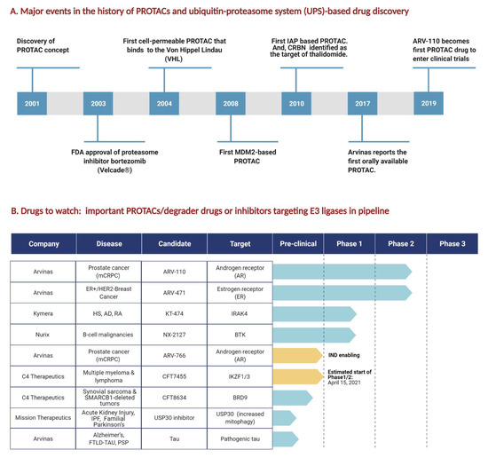 Ubiquitination, Biotech Startups, and the Future of TRIM Family ...