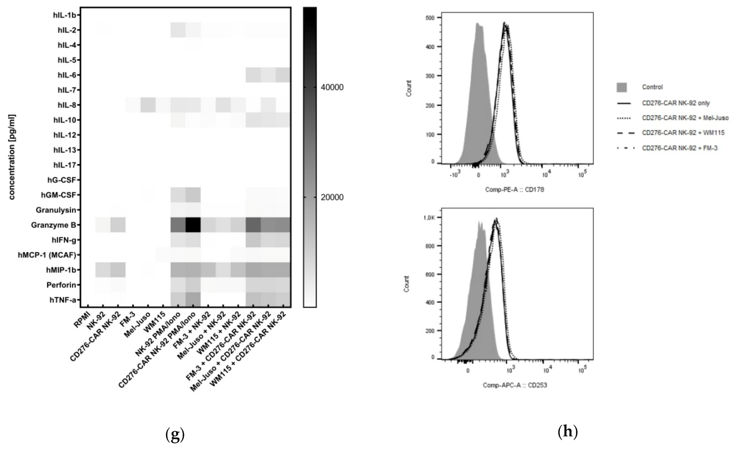 Cells 10 01020 g002b