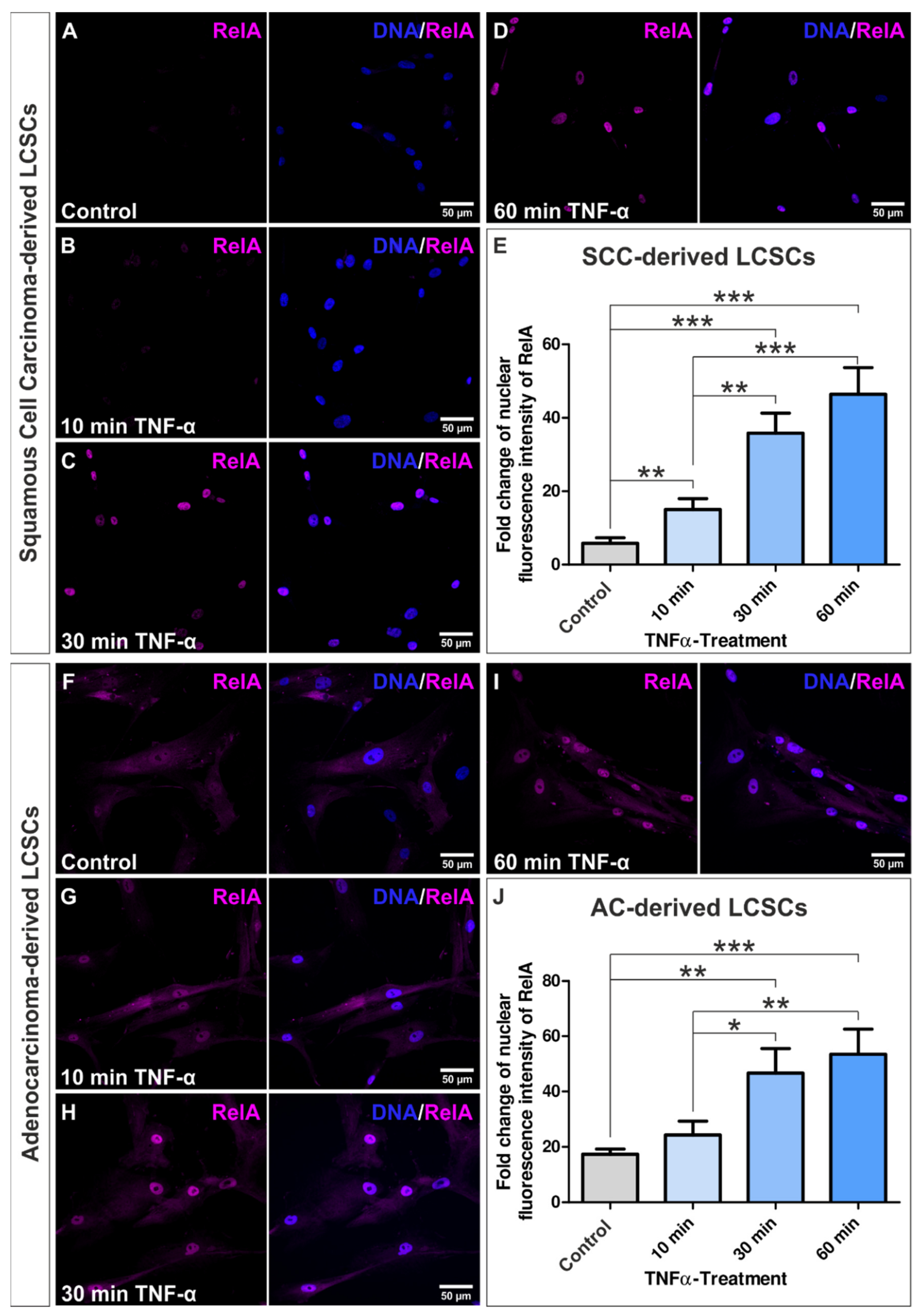 Cells 10 01024 g003 Cells 10 01024 g003