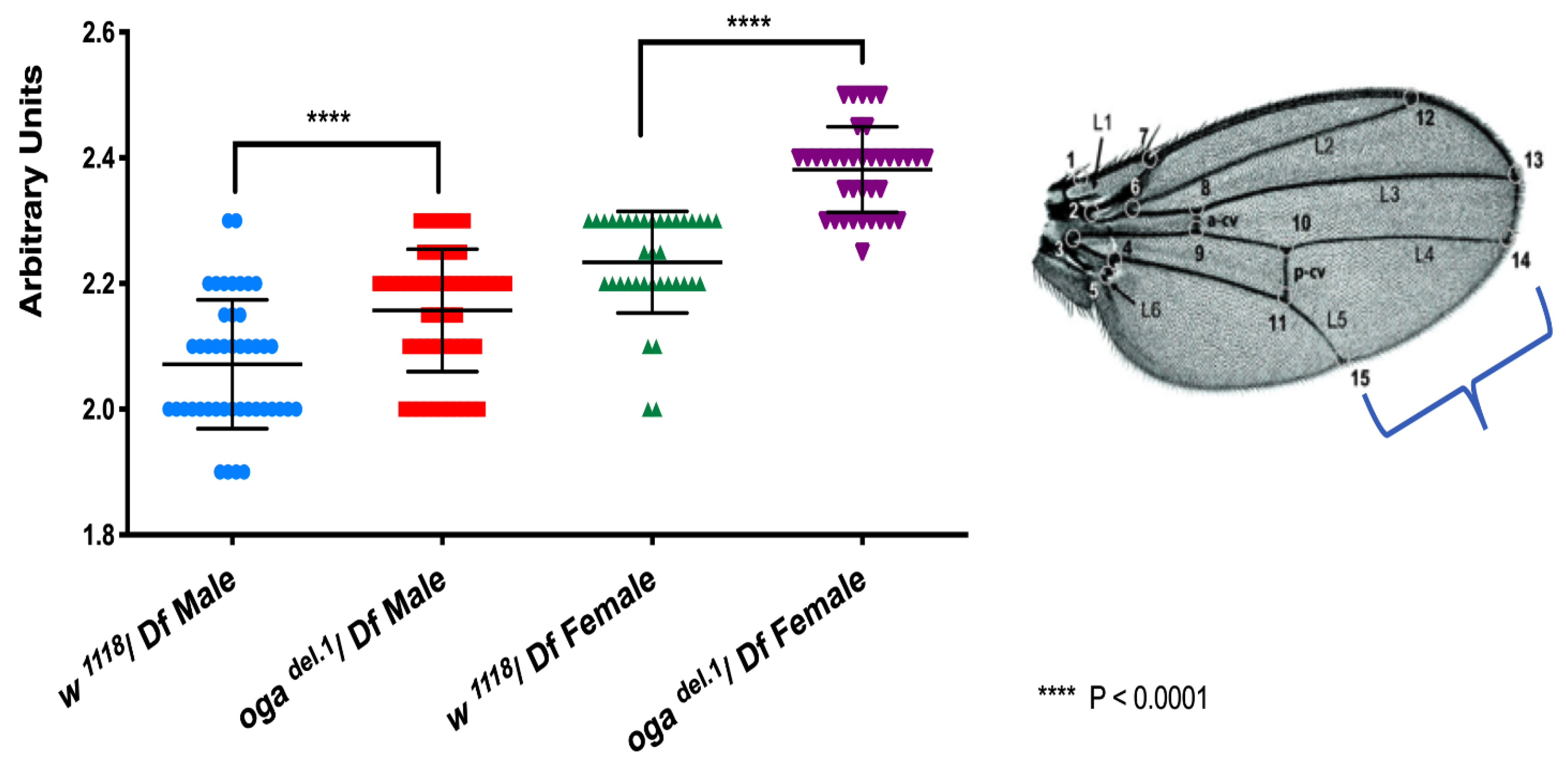 Cells 10 01026 g002 Cells 10 01026 g002