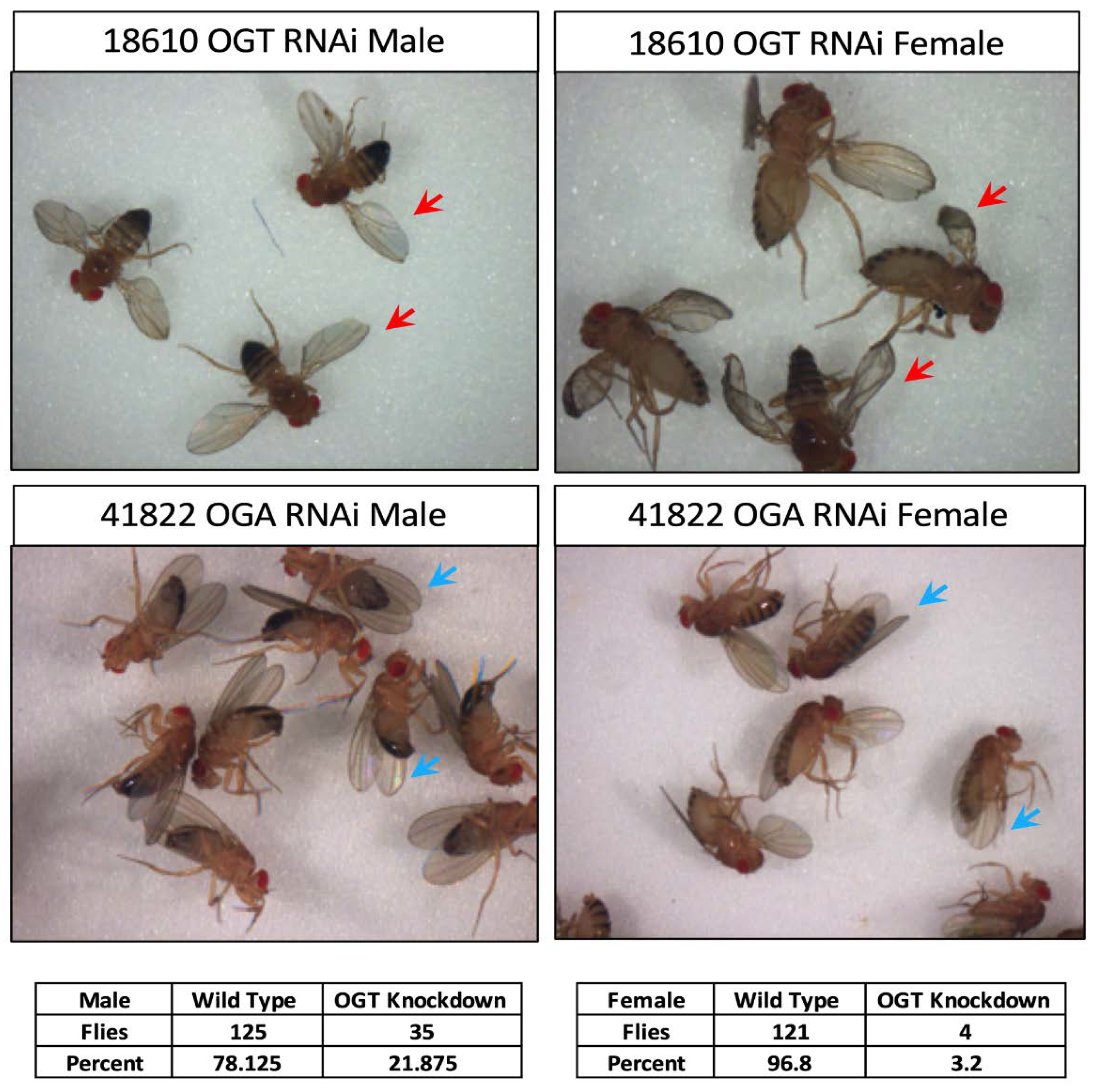 Cells 10 01026 g003 Cells 10 01026 g003
