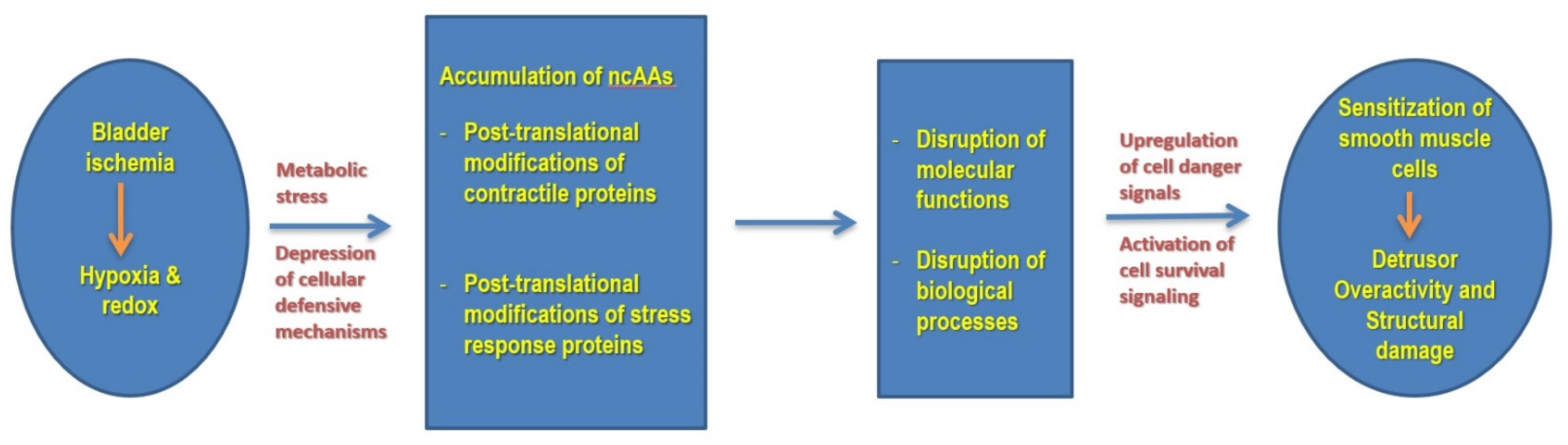 Cells 10 01031 g006 Cells 10 01031 g006