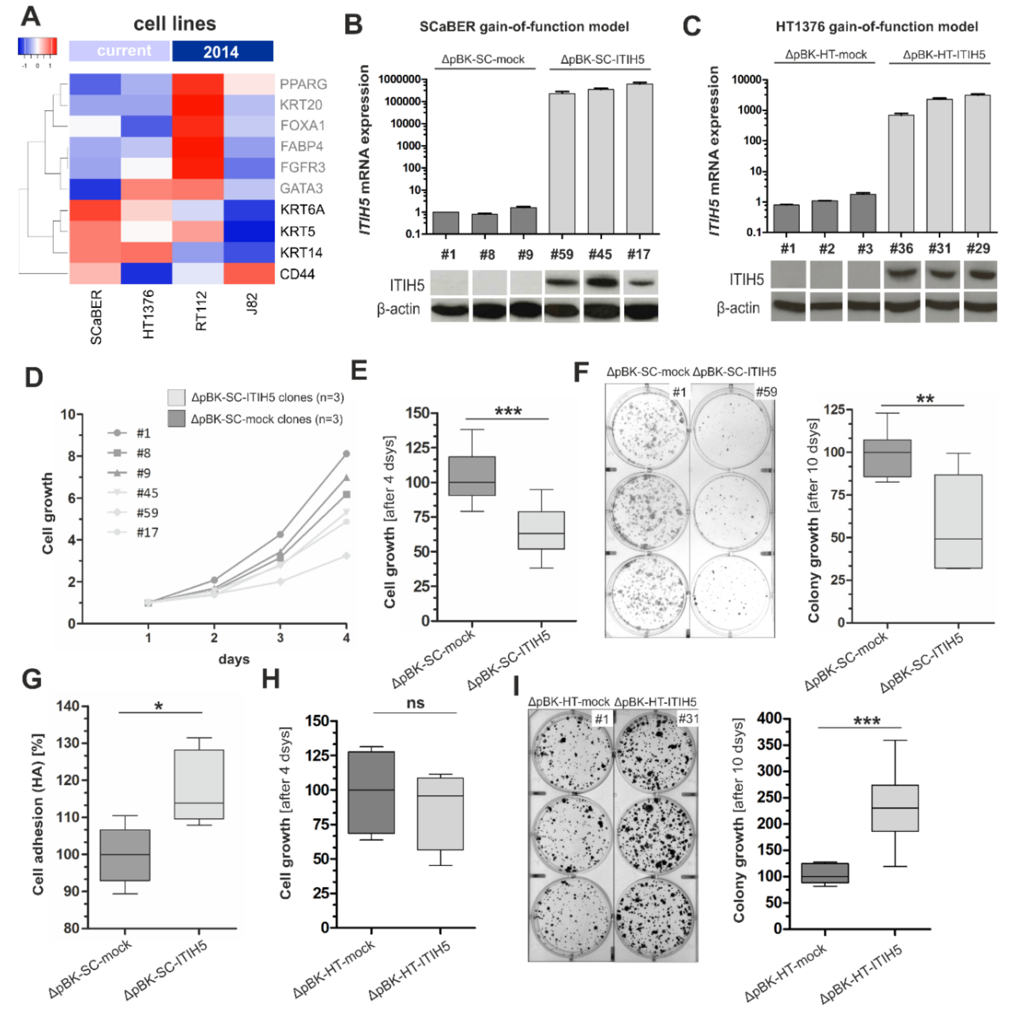 Cells 10 01038 g003 Cells 10 01038 g003