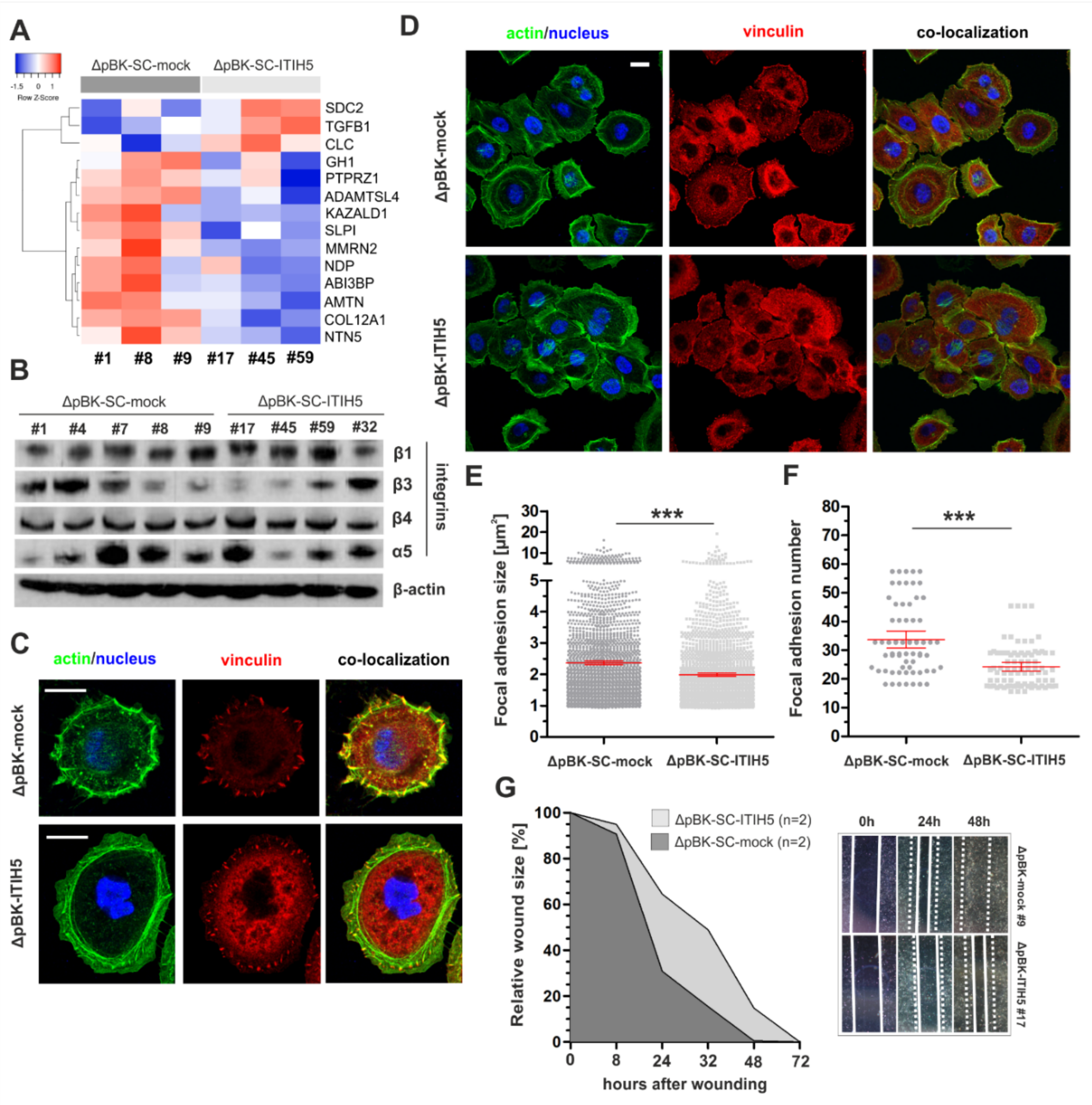 Cells 10 01038 g004 Cells 10 01038 g004