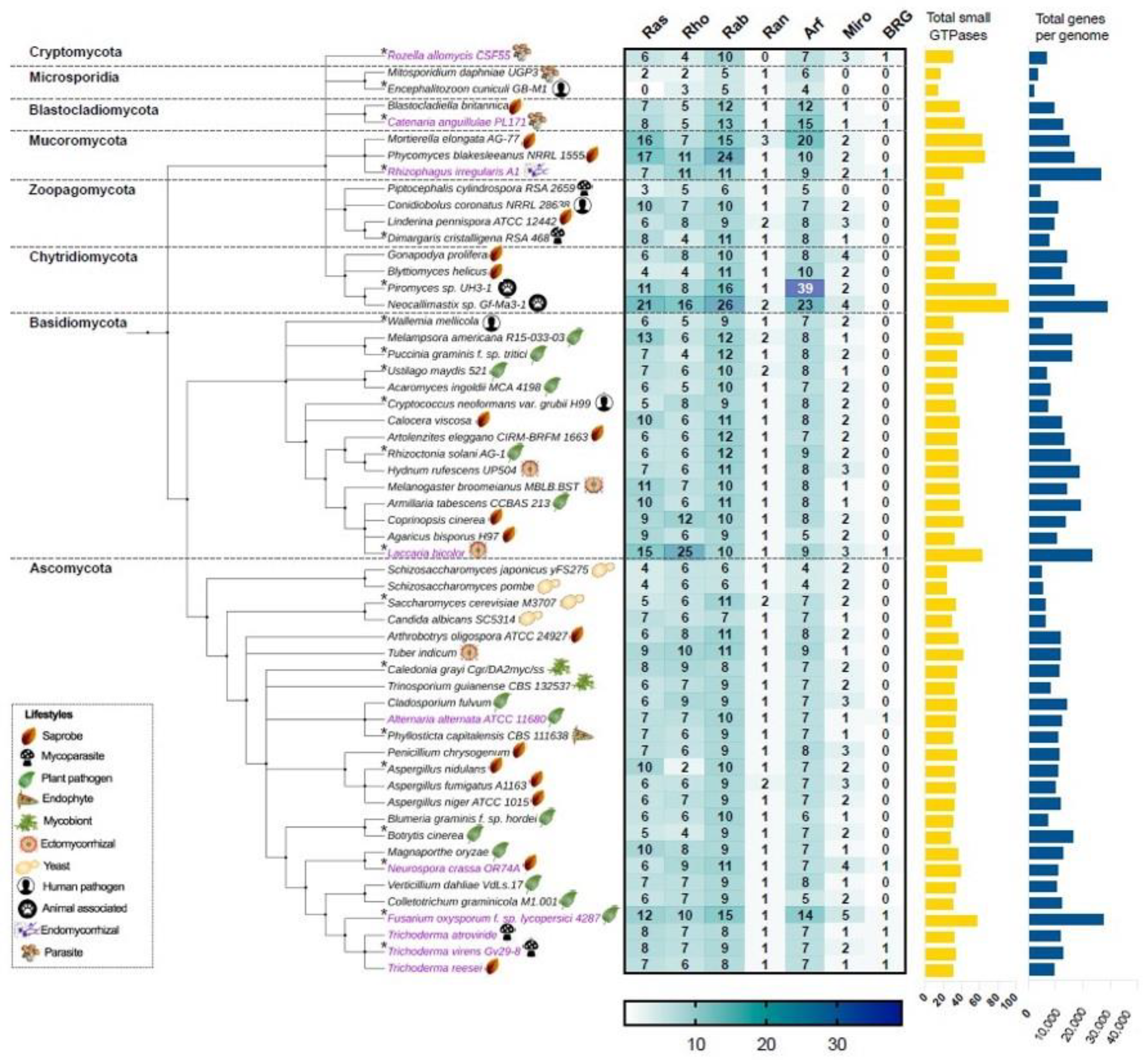 Cells 10 01039 g002 Cells 10 01039 g002