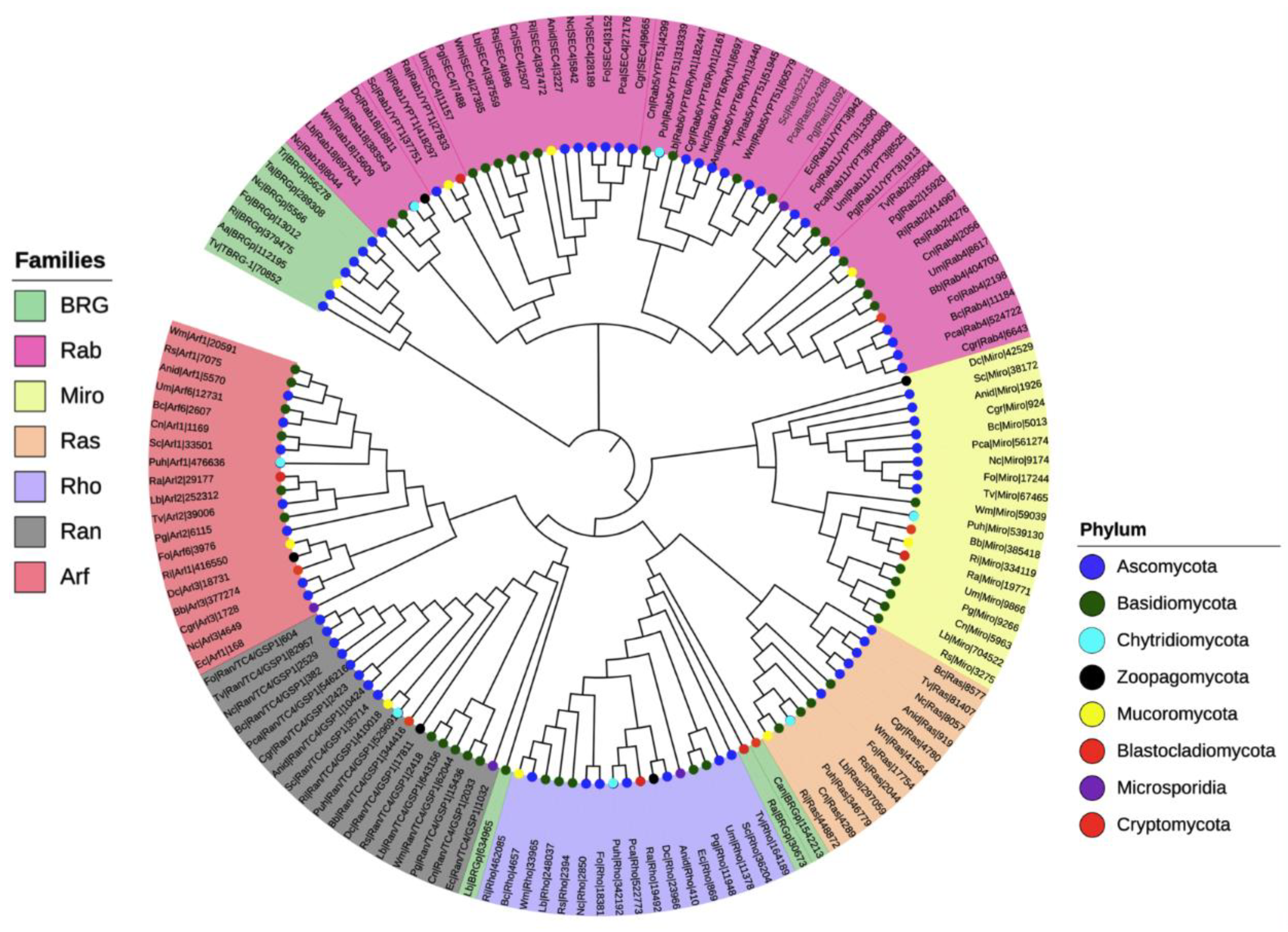 Cells 10 01039 g003 Cells 10 01039 g003