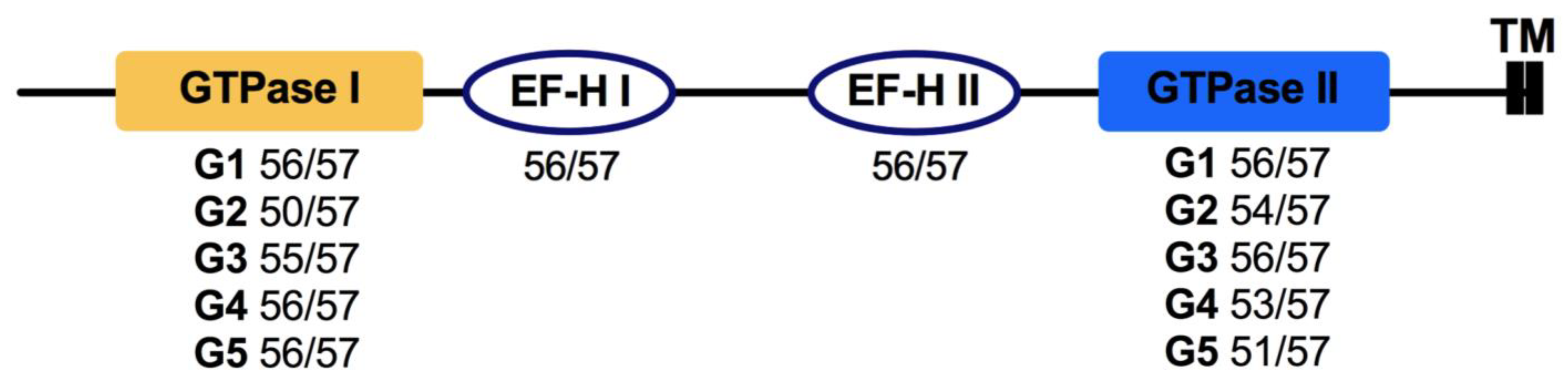 Cells 10 01039 g005 Cells 10 01039 g005