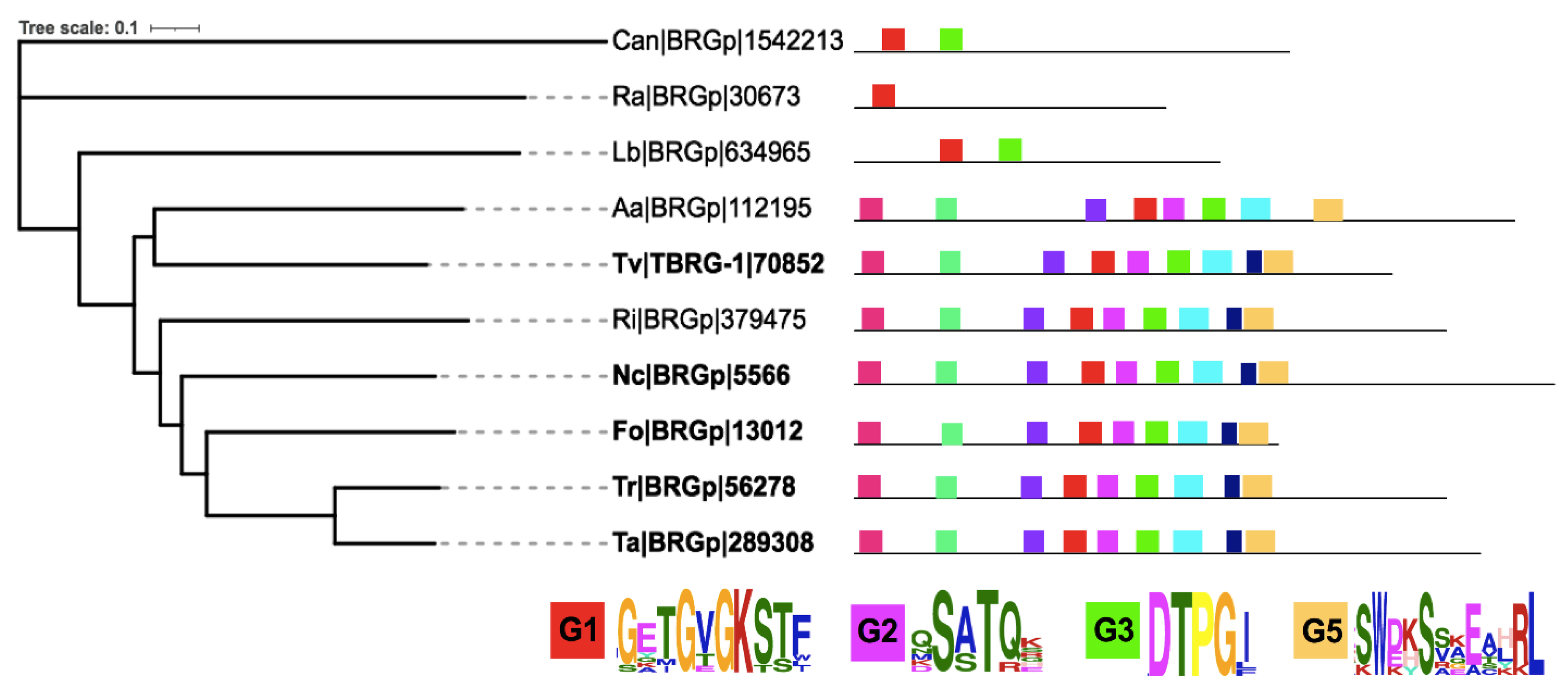 Cells 10 01039 g006 Cells 10 01039 g006