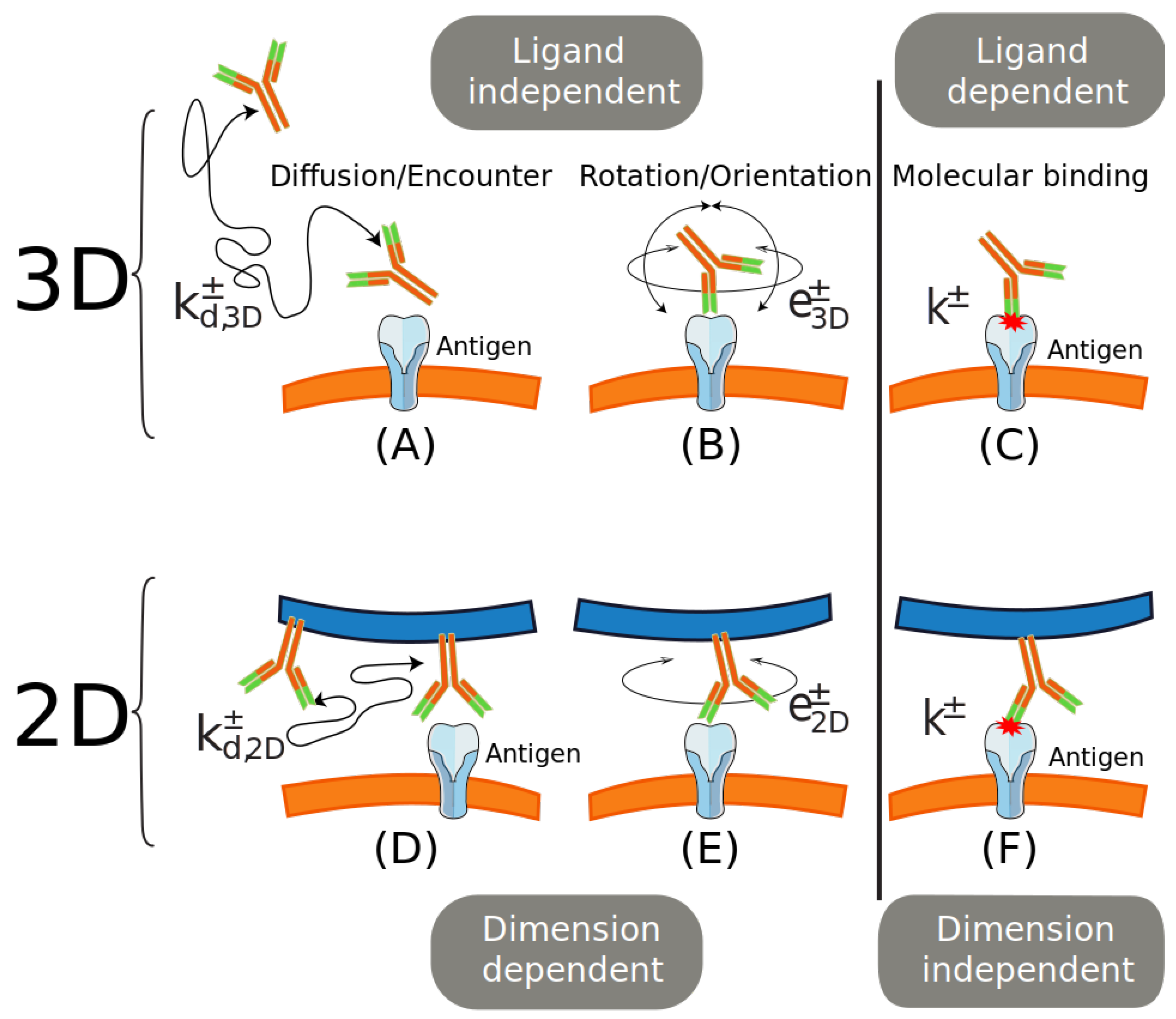 Cells 10 01040 g001 Cells 10 01040 g001