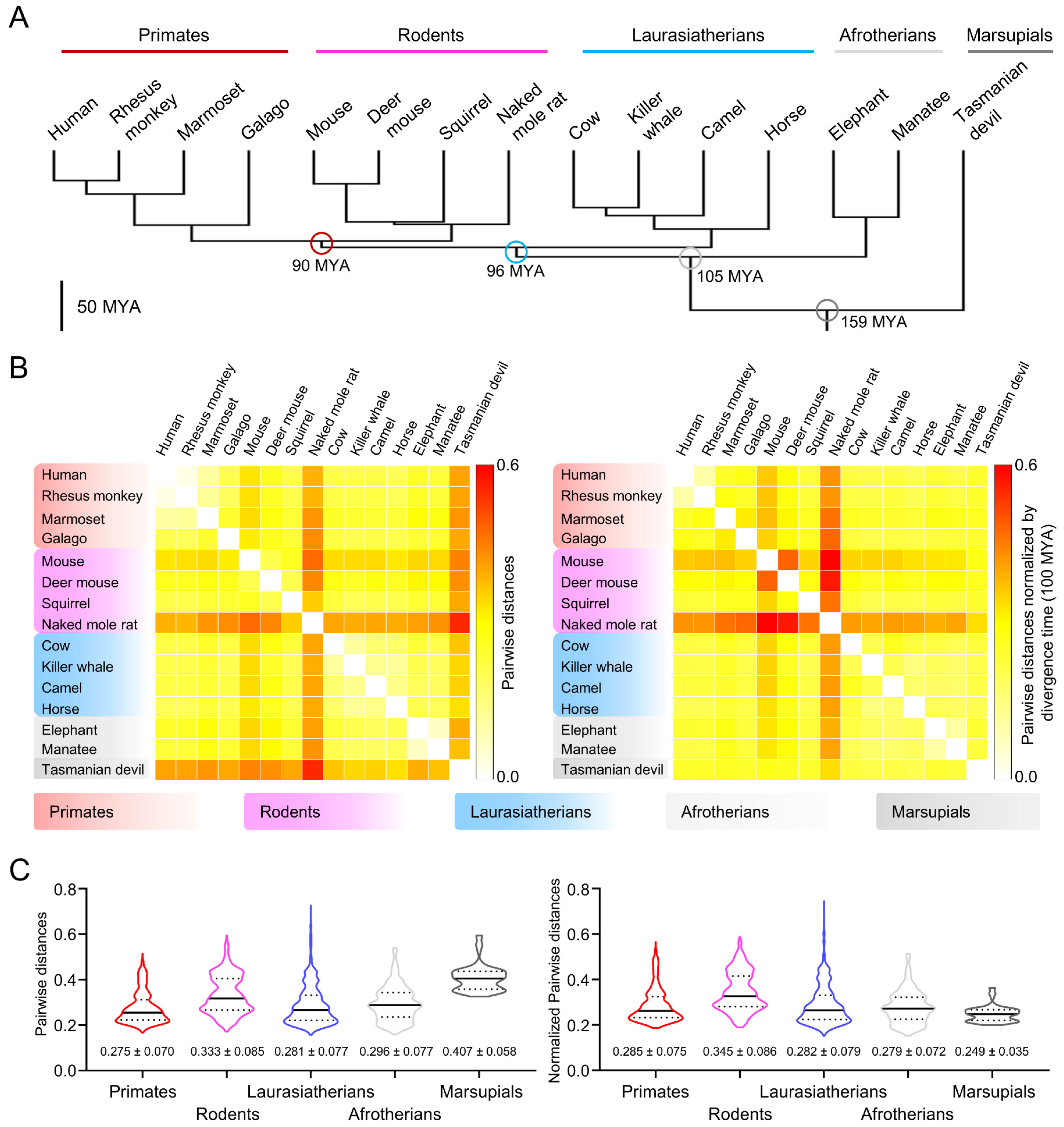 Cells 10 01047 g001 Cells 10 01047 g001