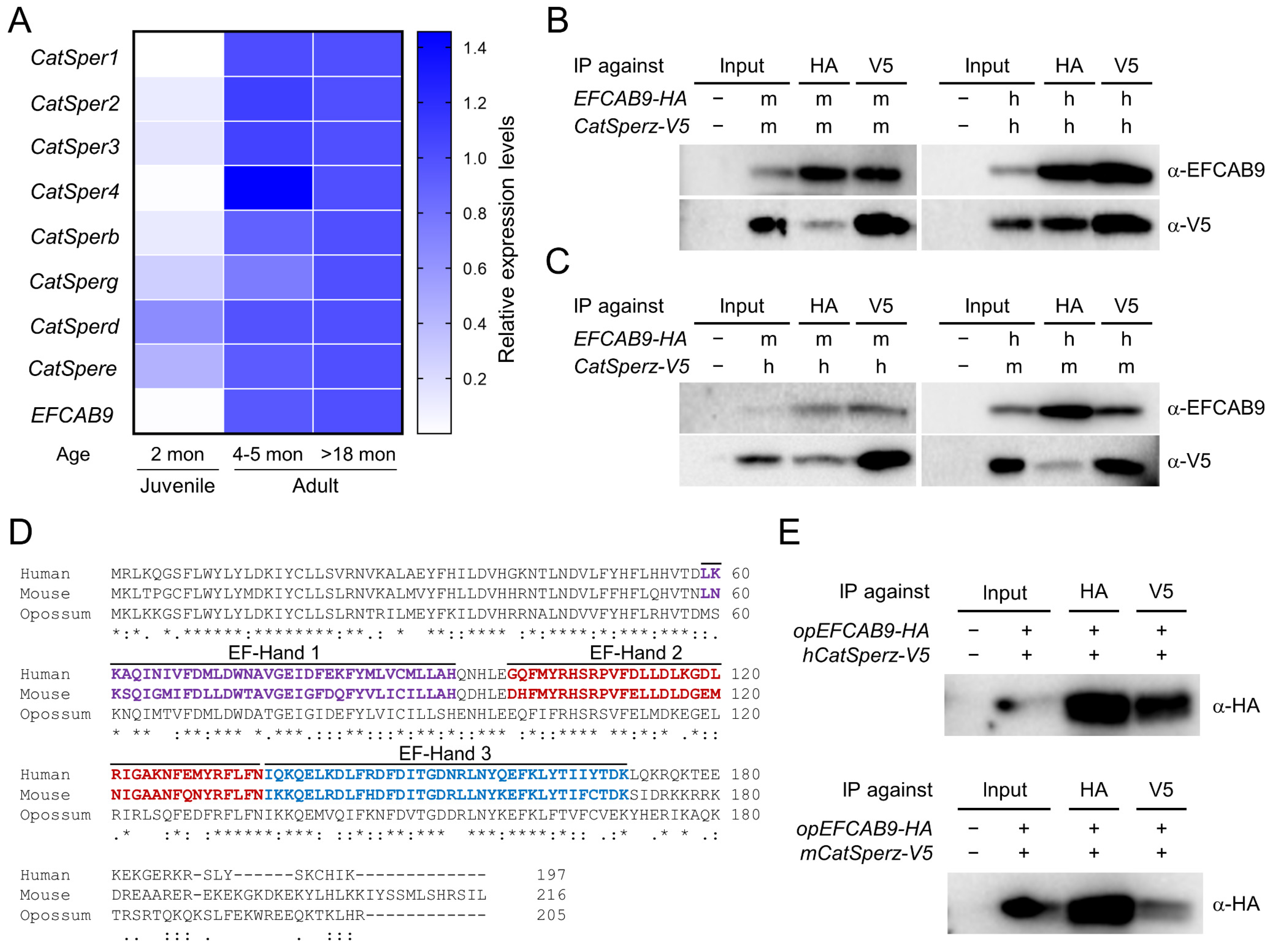 Cells 10 01047 g005 Cells 10 01047 g005