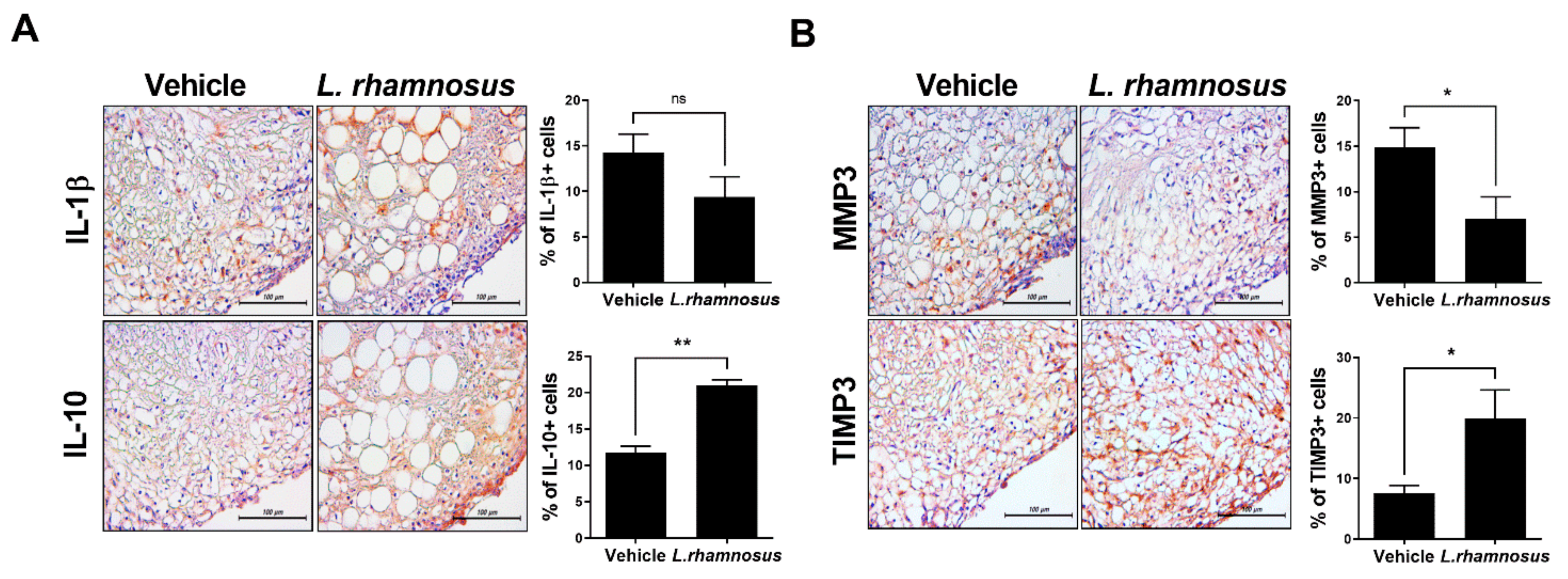 Cells 10 01057 g004 Cells 10 01057 g004