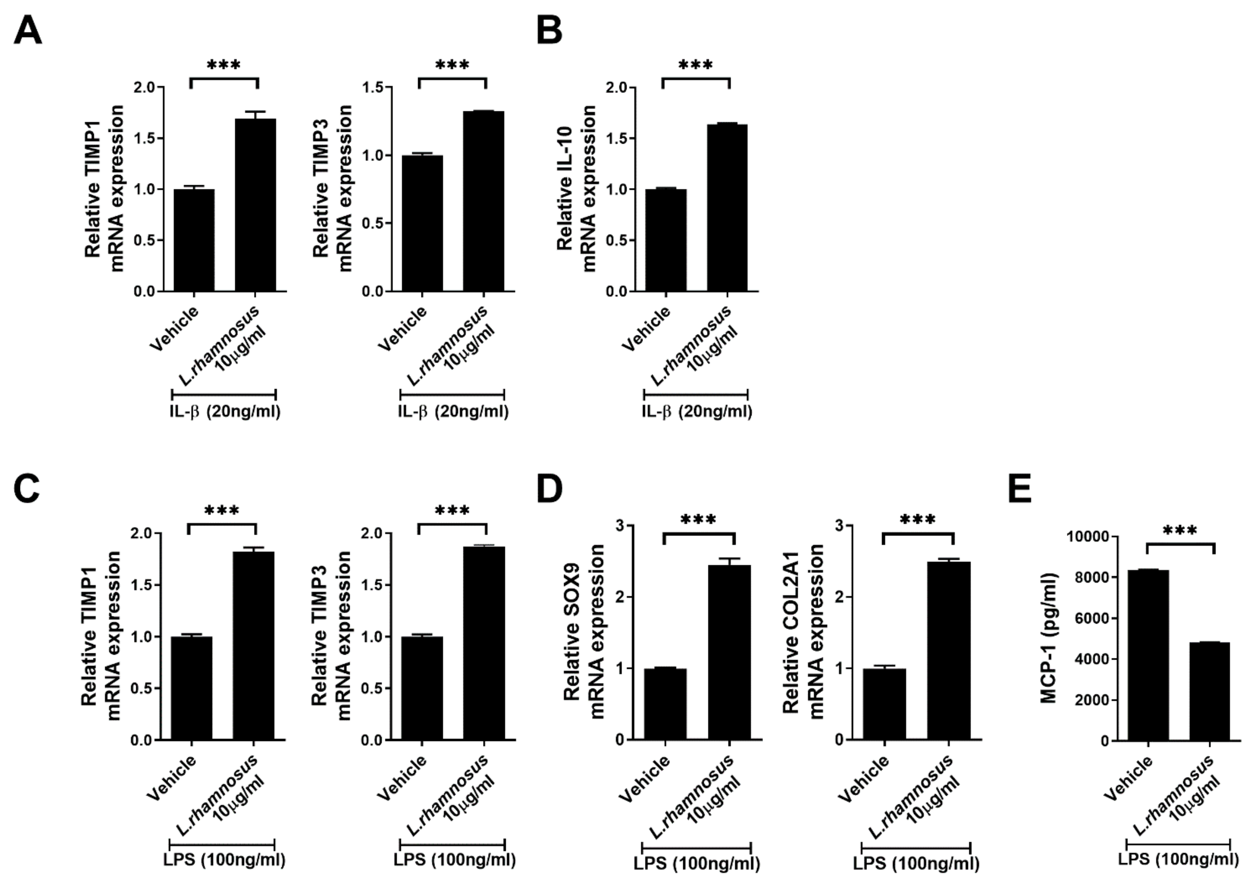 Cells 10 01057 g006 Cells 10 01057 g006