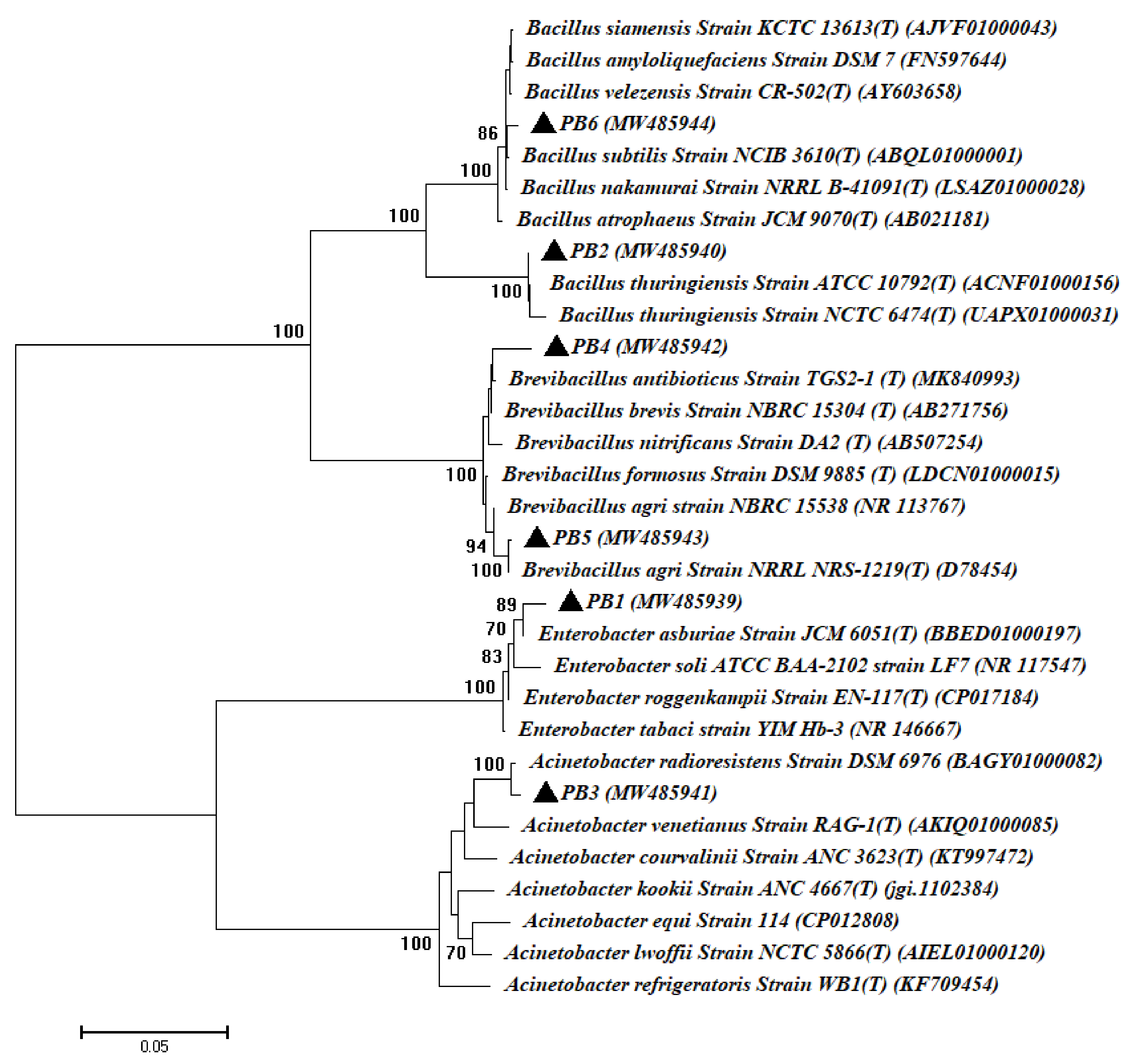 Cells 10 01059 g001 Cells 10 01059 g001